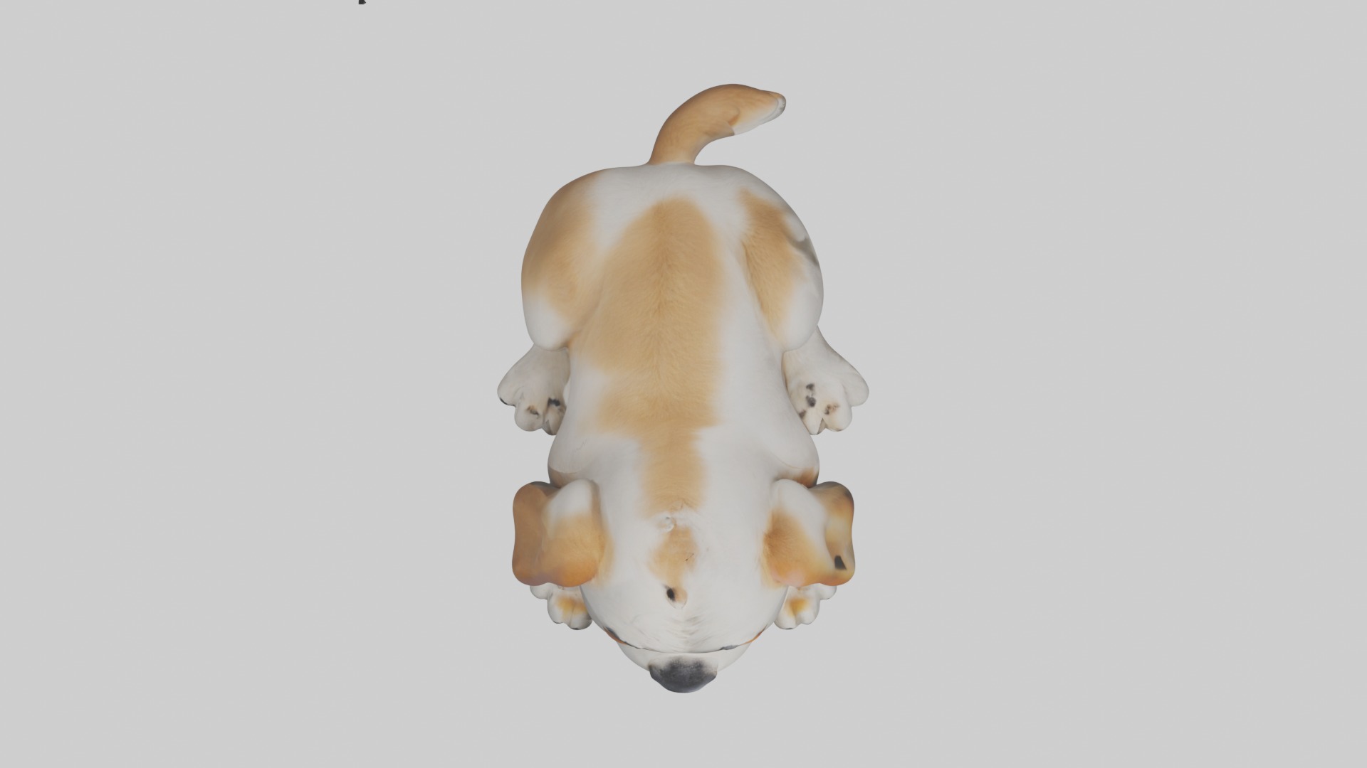 Lying Dog Model 1 Low-poly 3D model_8