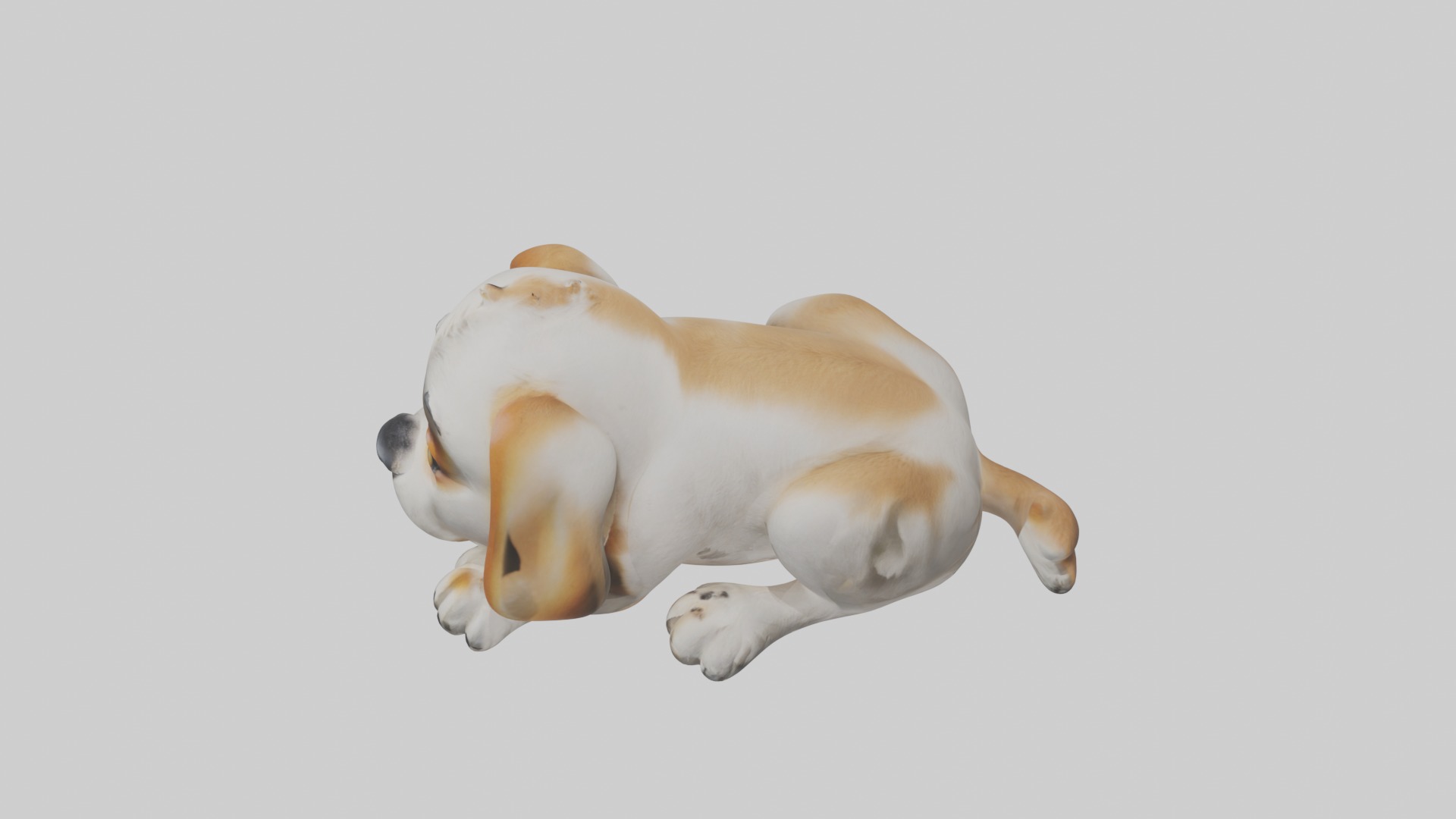 Lying Dog Model 1 Low-poly 3D model_11