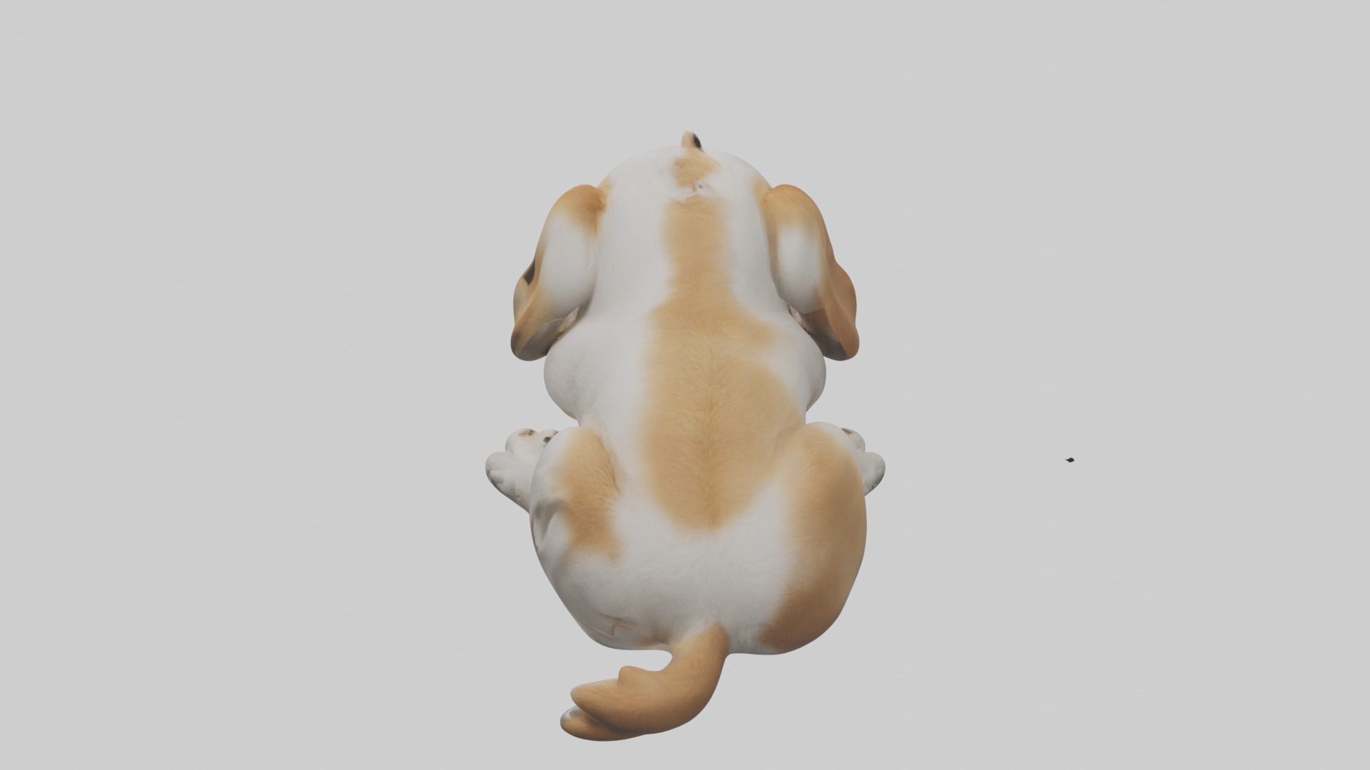 Lying Dog Model 1 Low-poly 3D model_9