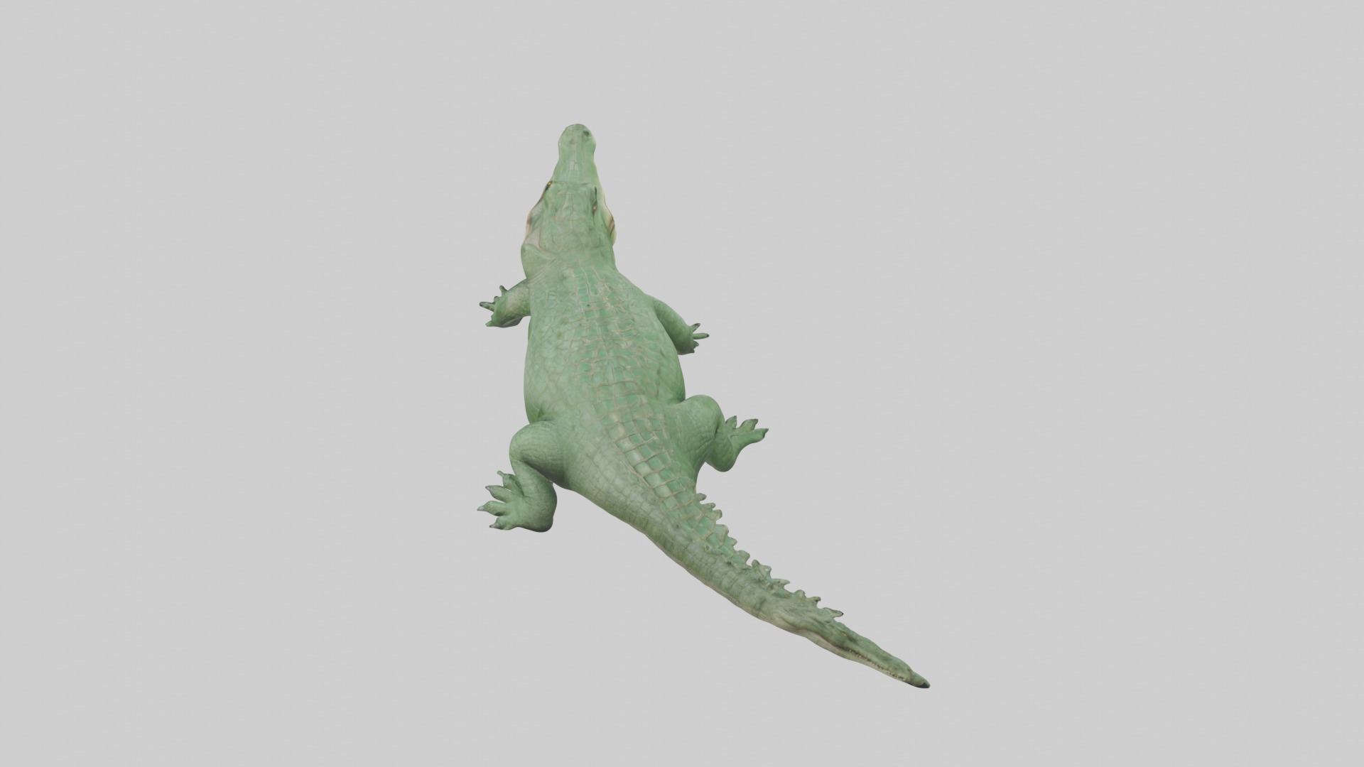 Lying Crocodile Model 1 Low-poly 3D model_9