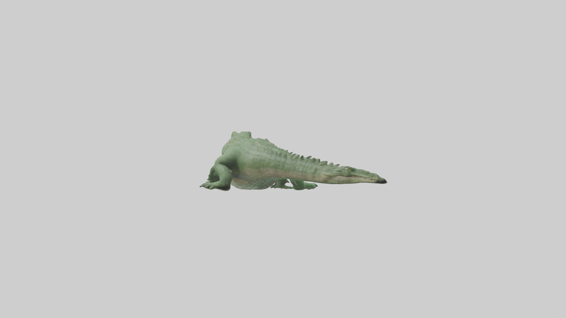 Lying Crocodile Model 1 Low-poly 3D model_1