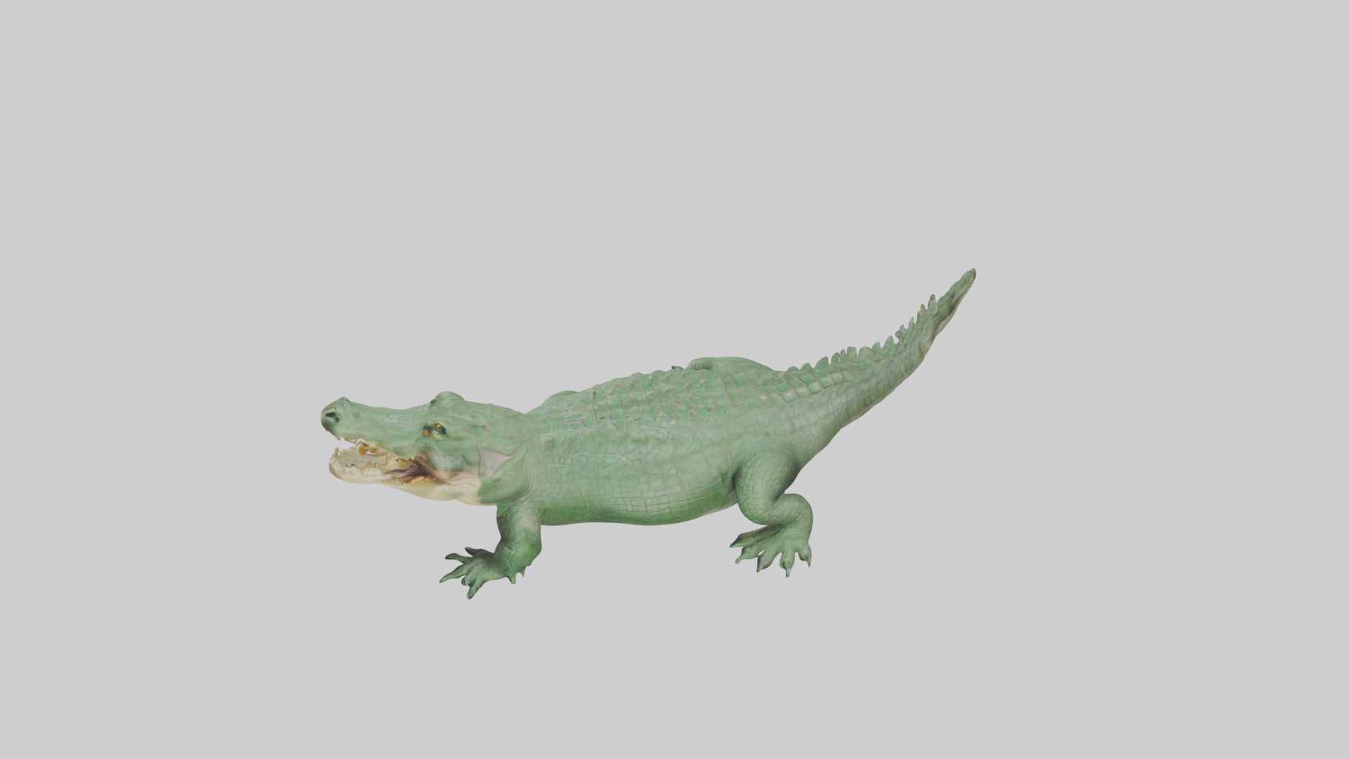 Lying Crocodile Model 1 Low-poly 3D model_11