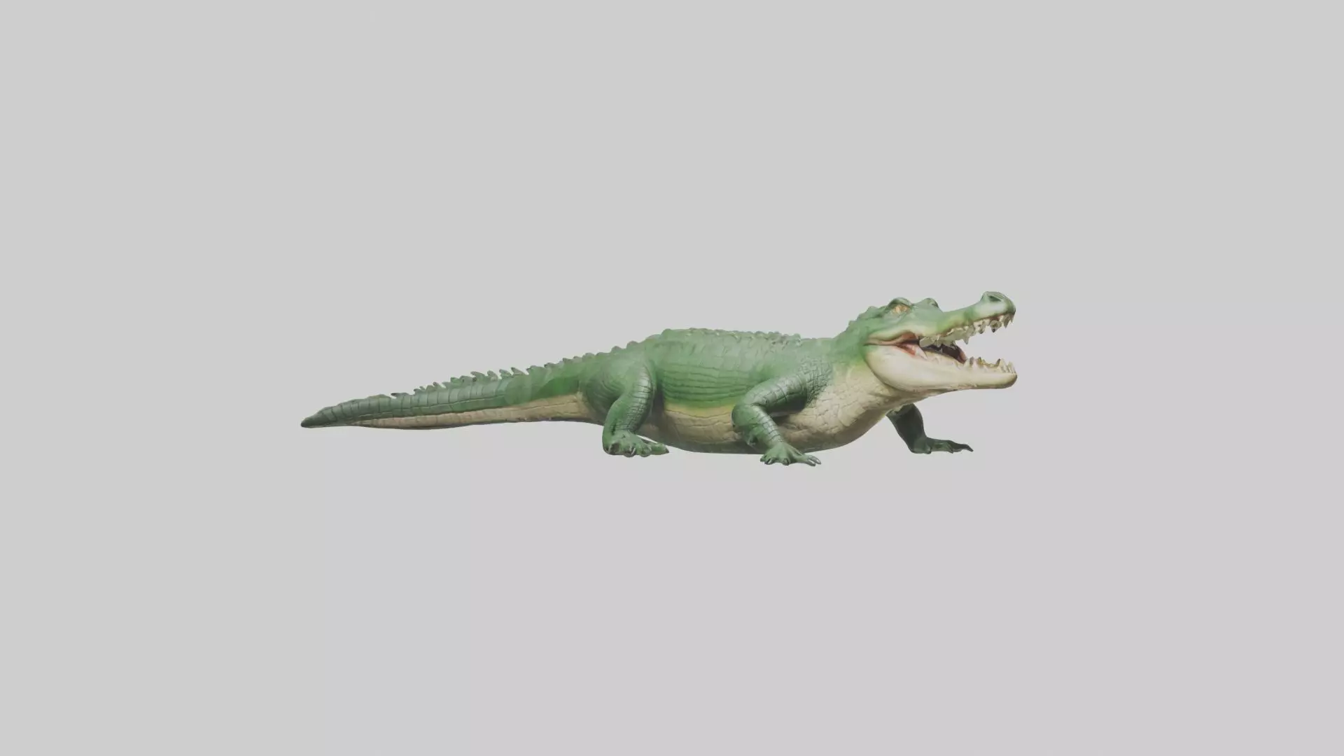Lying Crocodile Model 1 Low-poly 3D model_0