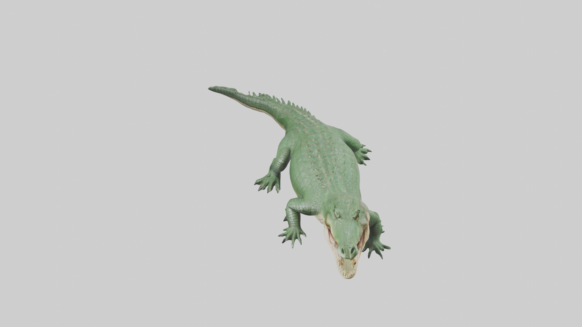 Lying Crocodile Model 1 Low-poly 3D model_10