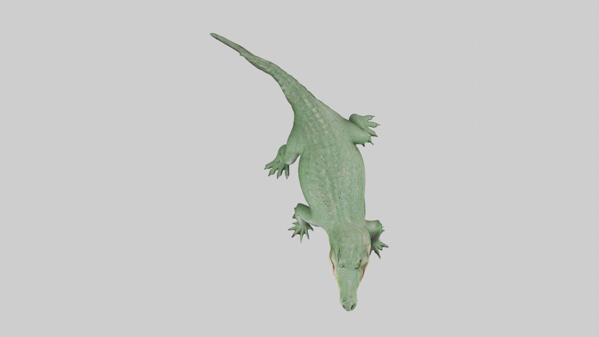Lying Crocodile Model 1 Low-poly 3D model_8