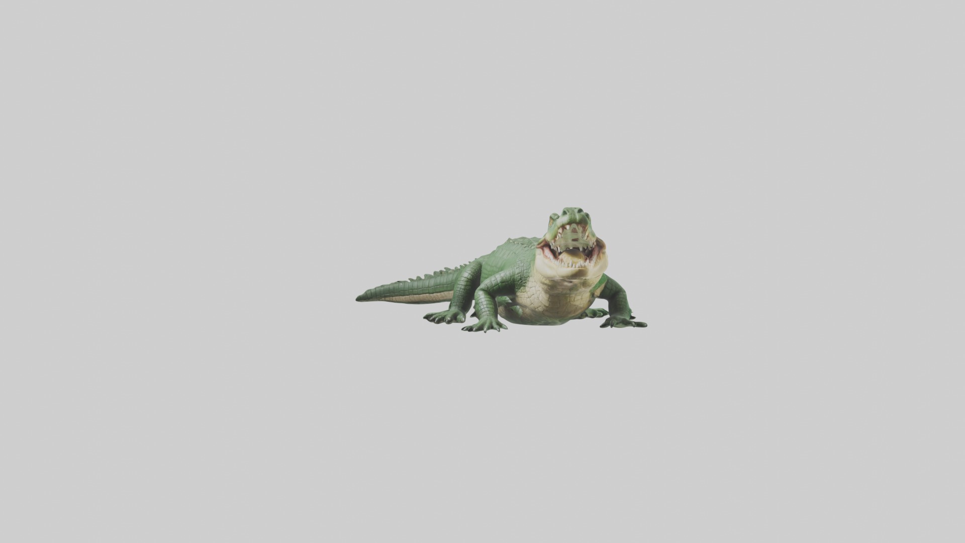 Lying Crocodile Model 1 Low-poly 3D model_5