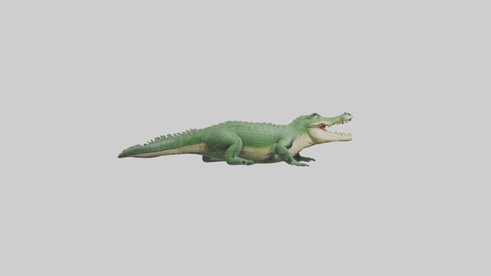 Lying Crocodile Model 1 Low-poly 3D model_7