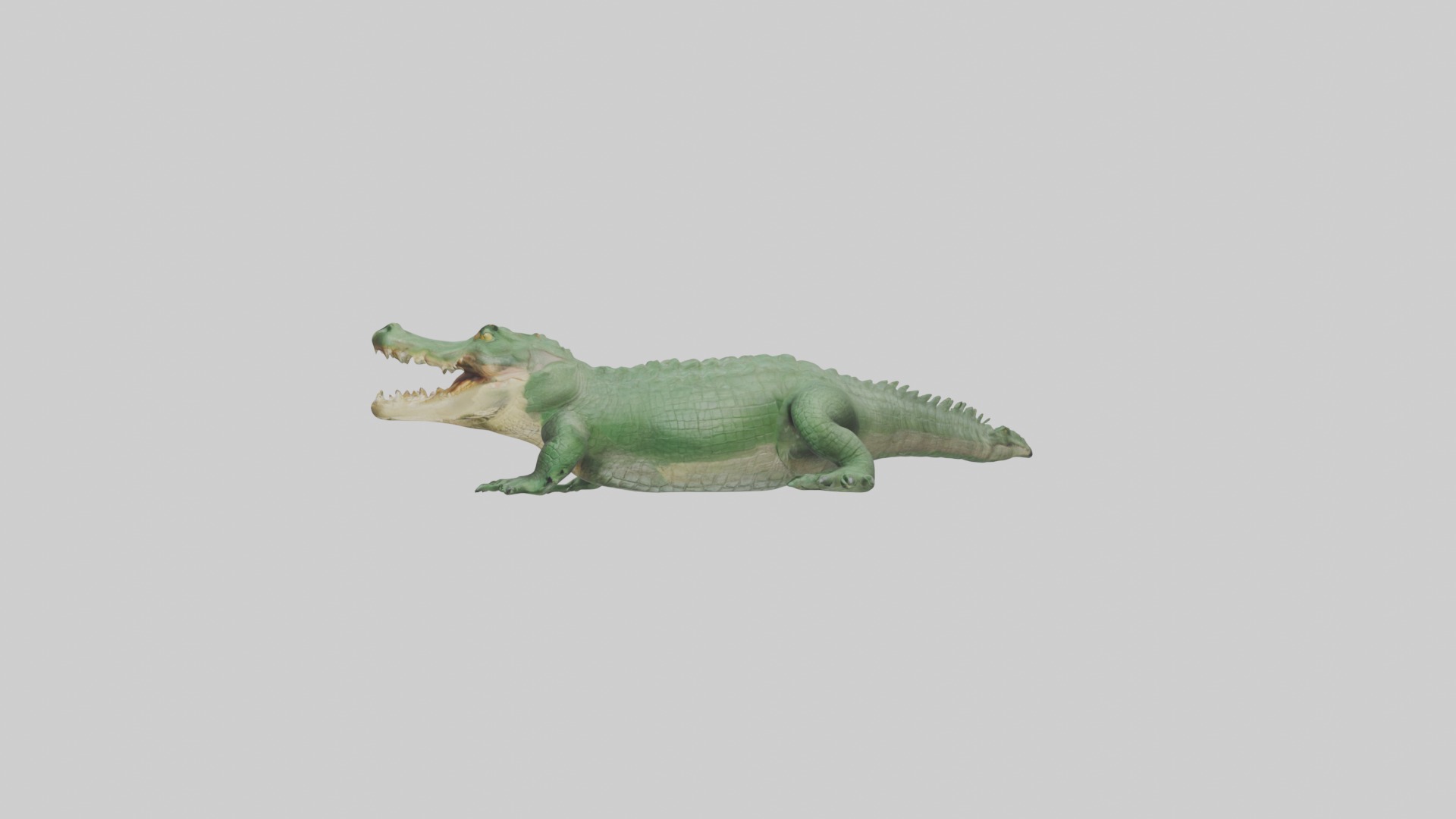 Lying Crocodile Model 1 Low-poly 3D model_6