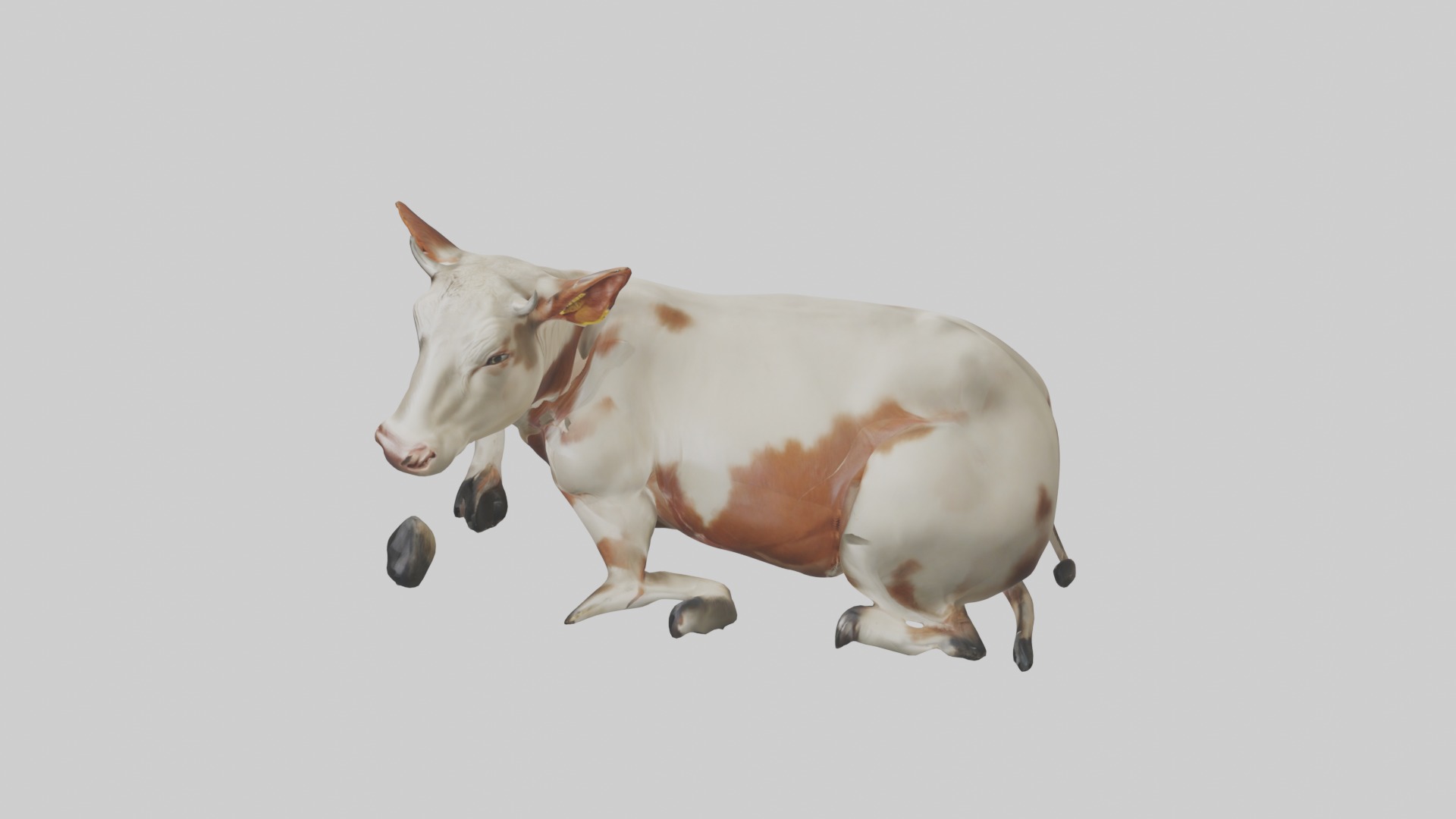 Lying Cow Model 1 Low-poly 3D model_11