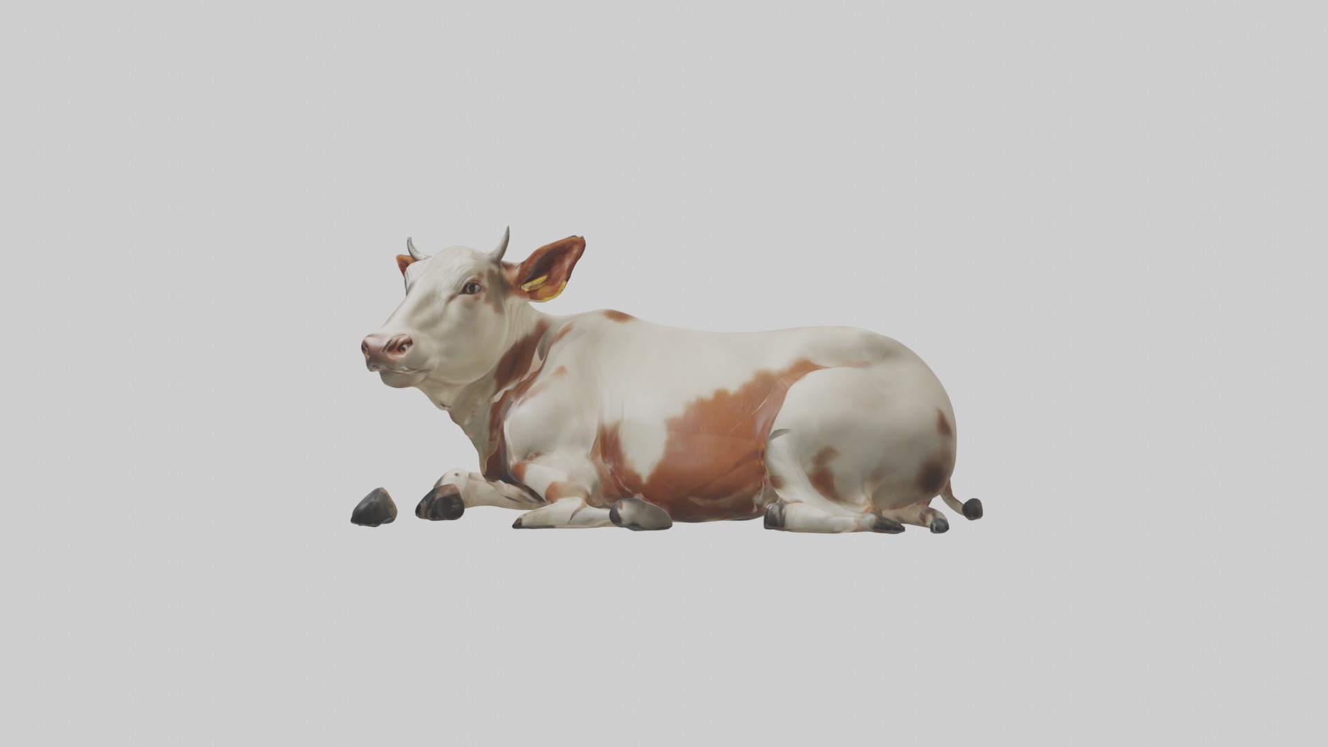 Lying Cow Model 1 Low-poly 3D model_6