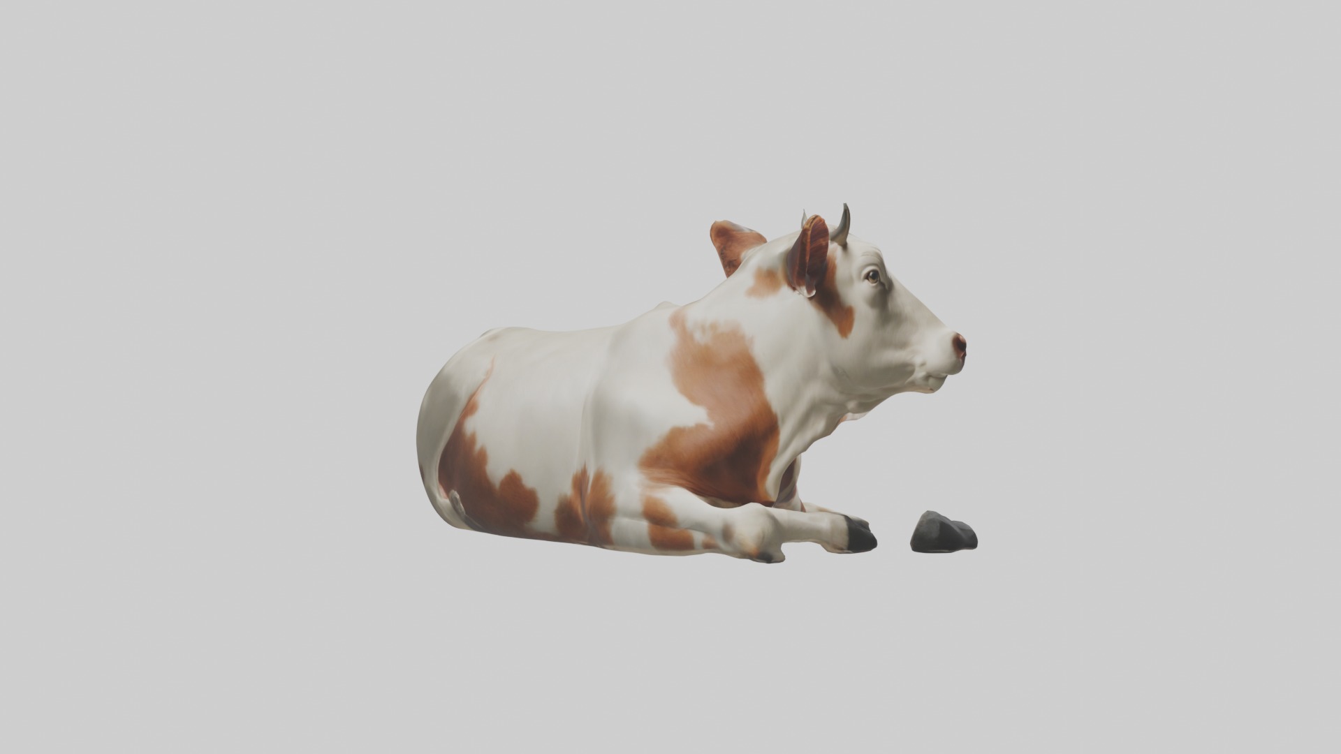 Lying Cow Model 1 Low-poly 3D model_5
