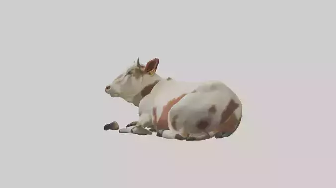Lying Cow Model 1