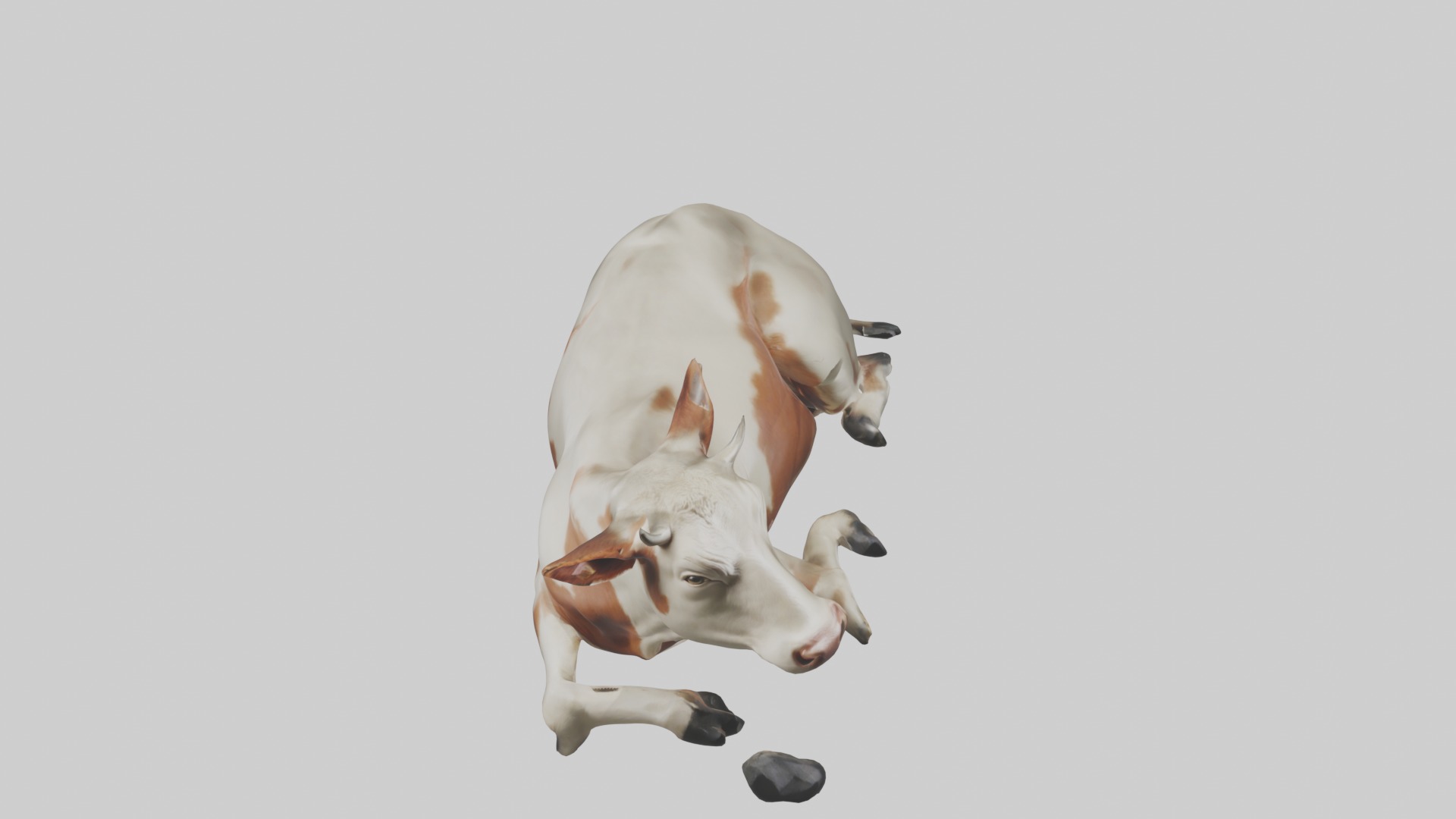 Lying Cow Model 1 Low-poly 3D model_10