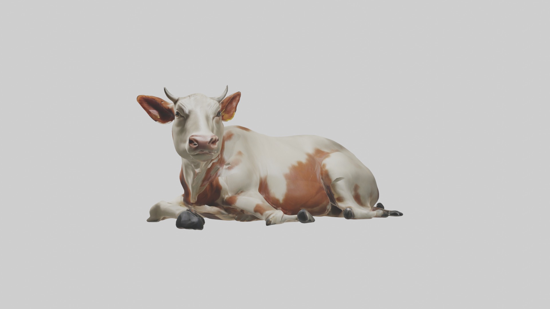 Lying Cow Model 1 Low-poly 3D model_4