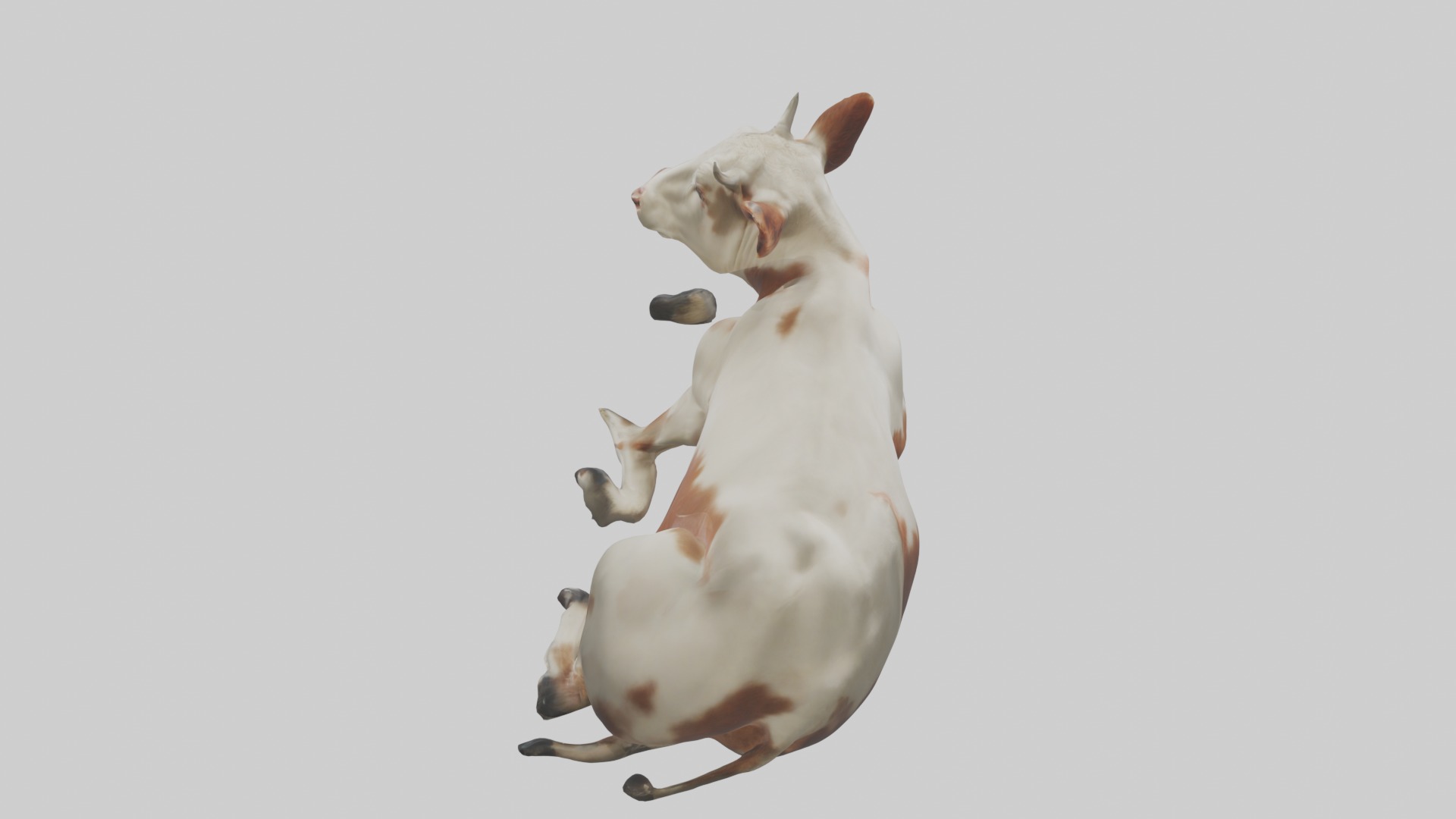 Lying Cow Model 1 Low-poly 3D model_9