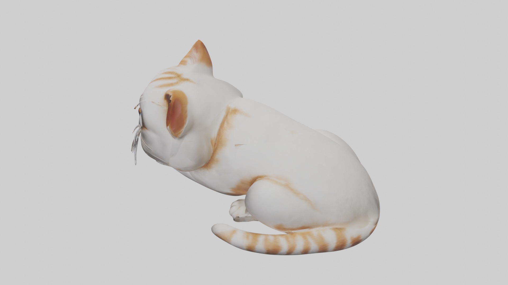 Lying Cat Model 1 Low-poly 3D model_11