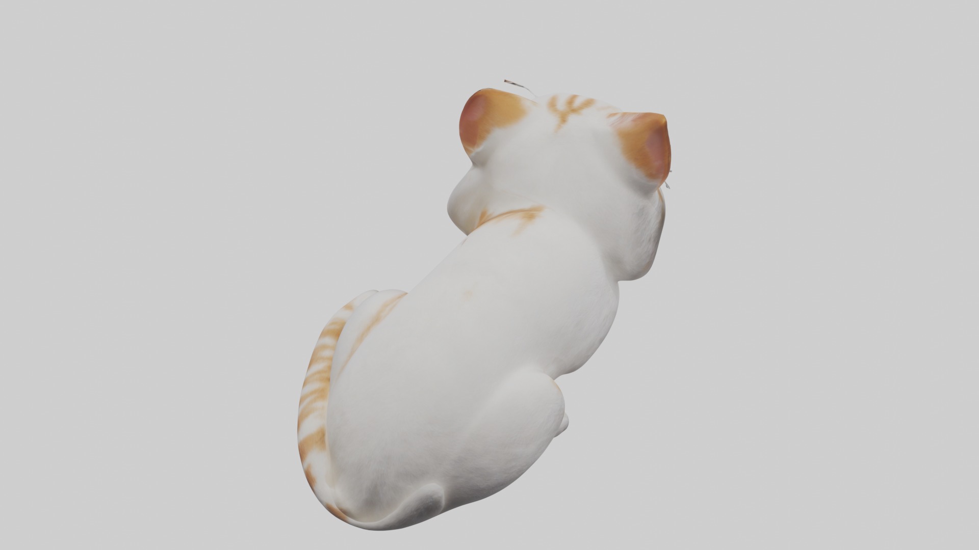 Lying Cat Model 1 Low-poly 3D model_9