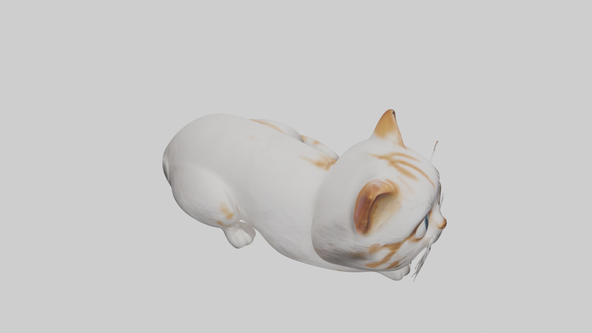 Lying Cat Model 1 Low-poly 3D model_12