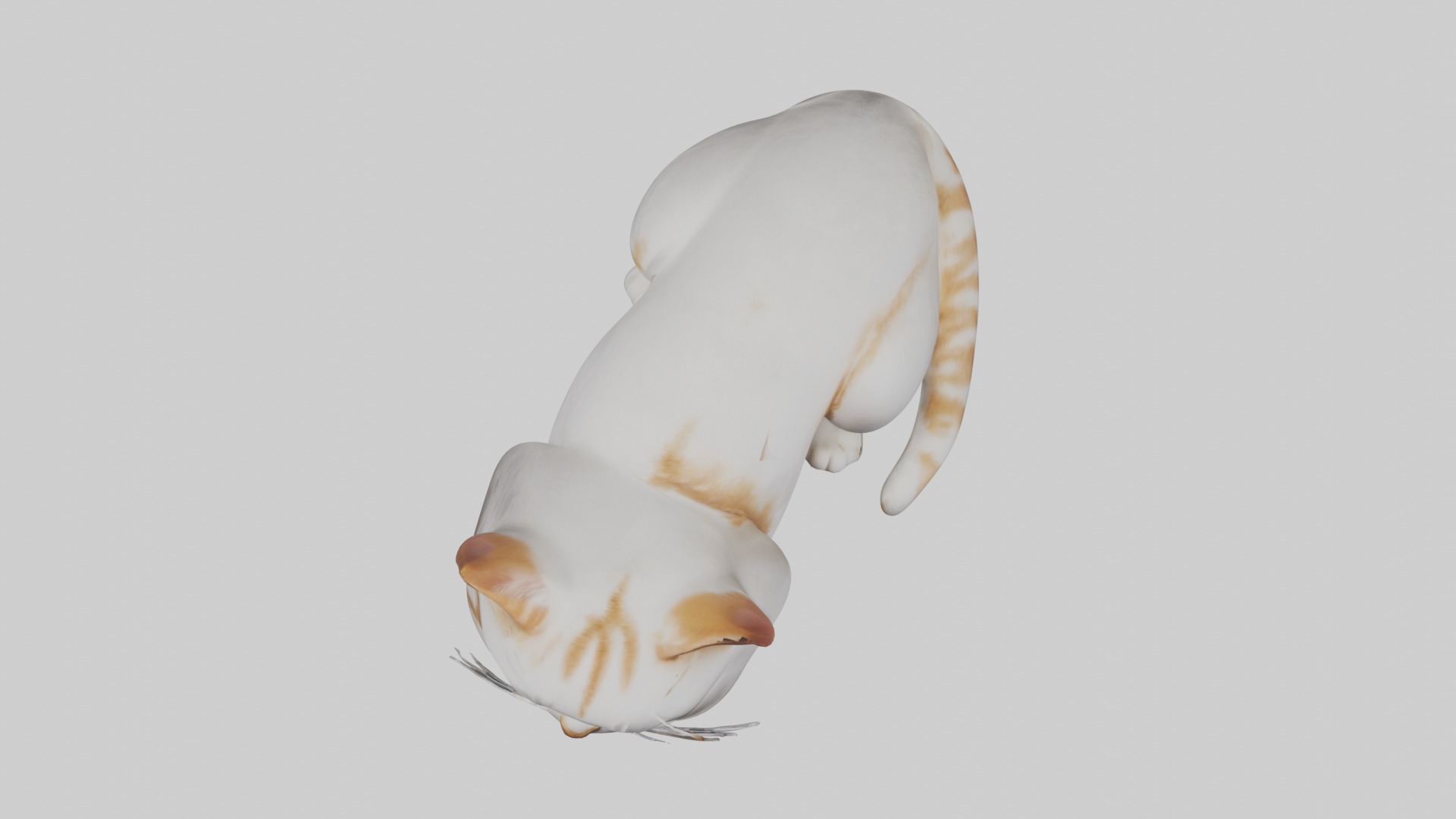 Lying Cat Model 1 Low-poly 3D model_8