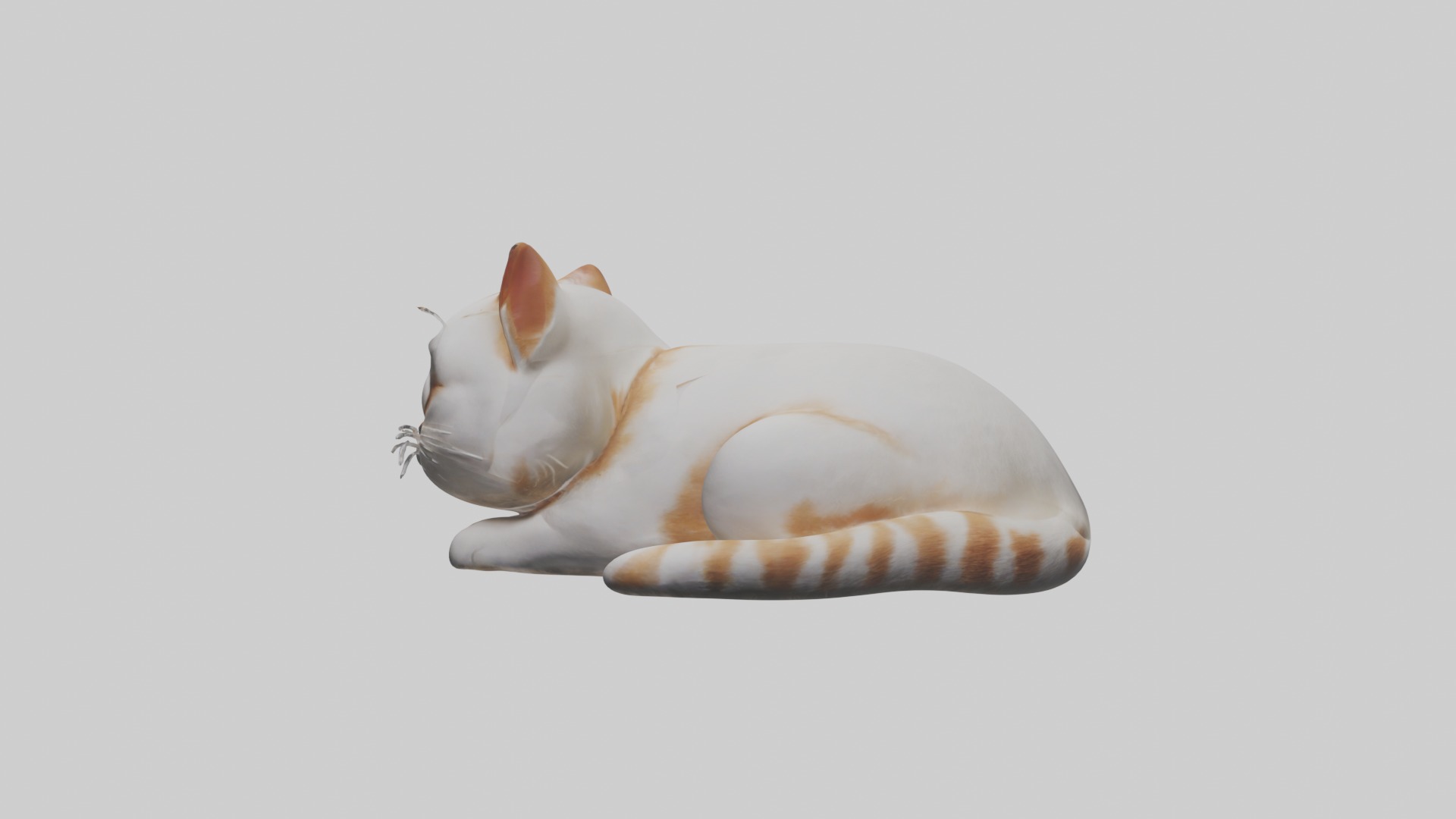 Lying Cat Model 1 Low-poly 3D model_6