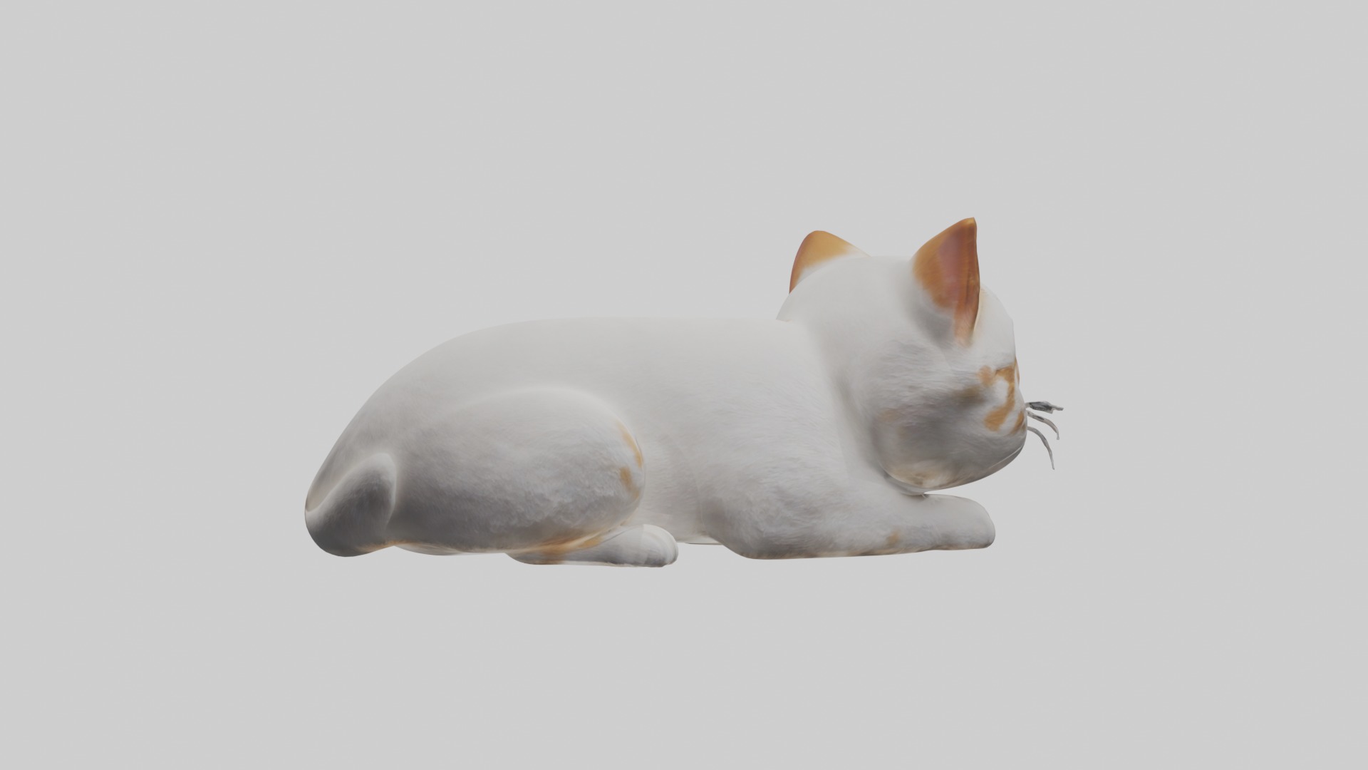 Lying Cat Model 1 Low-poly 3D model_3