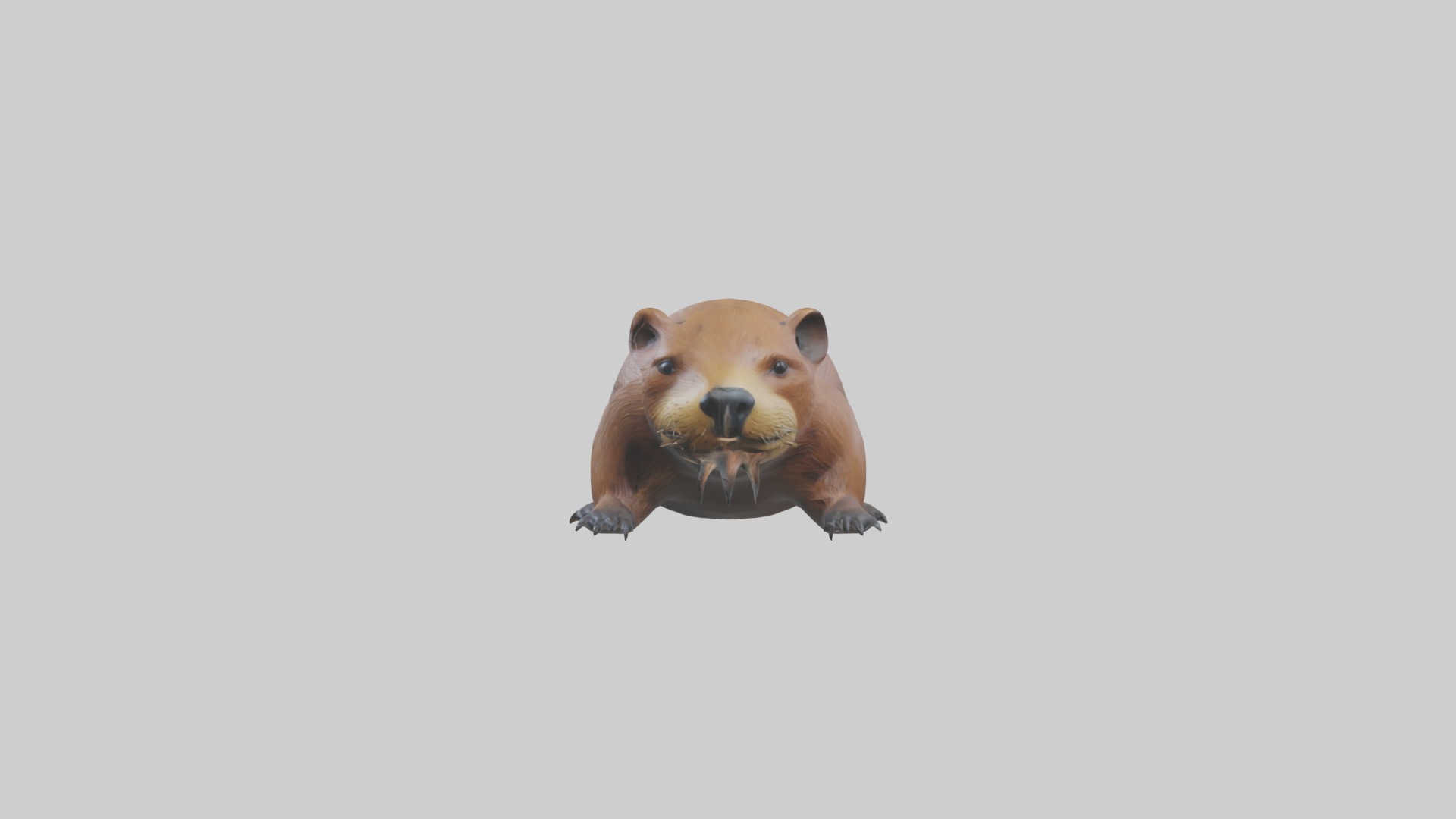 Lying Beaver Model 1 Low-poly 3D model_6