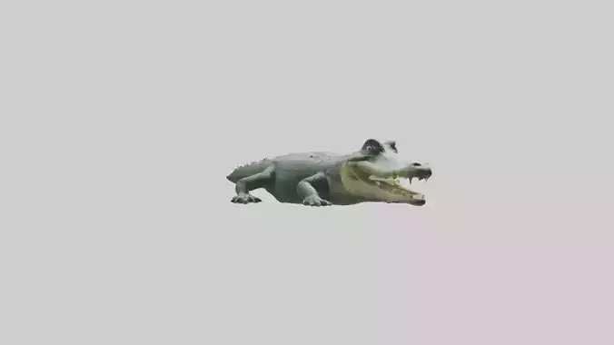 Lying Alligator Model 1