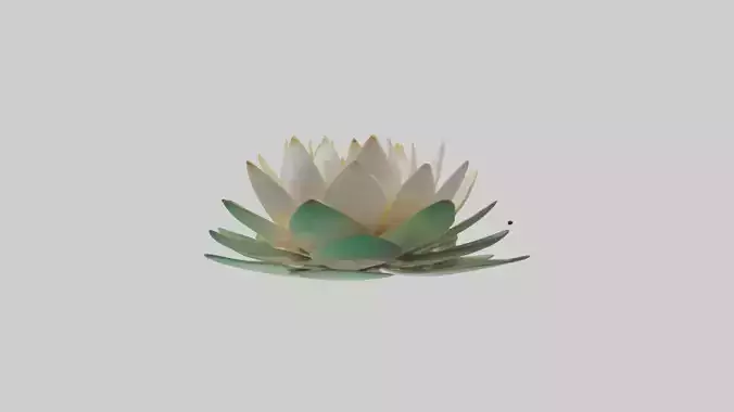 Lotusflower Model Low-poly 3D model