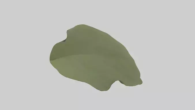Leaf Model