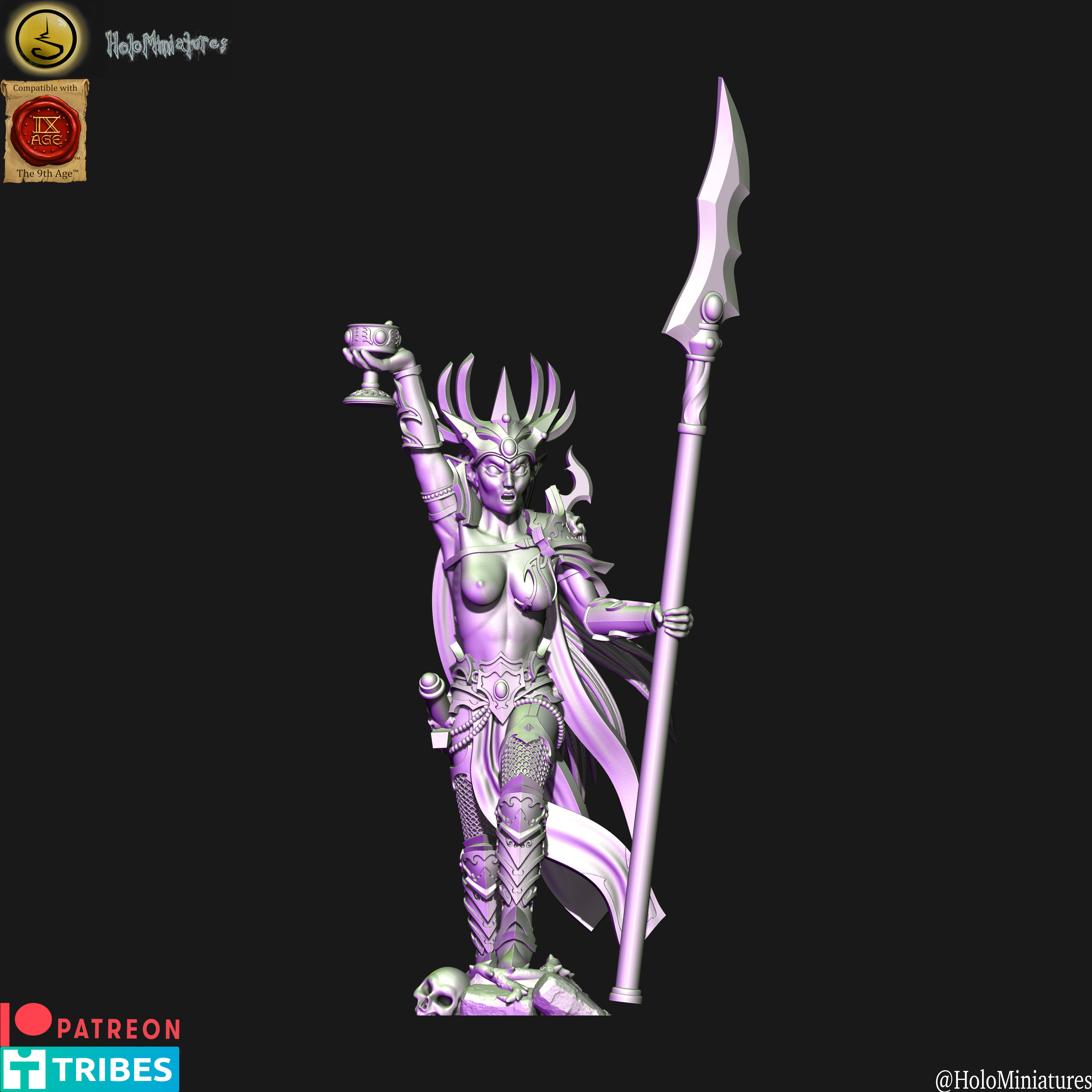 Dark elves Death hag BSB 3D print model_5