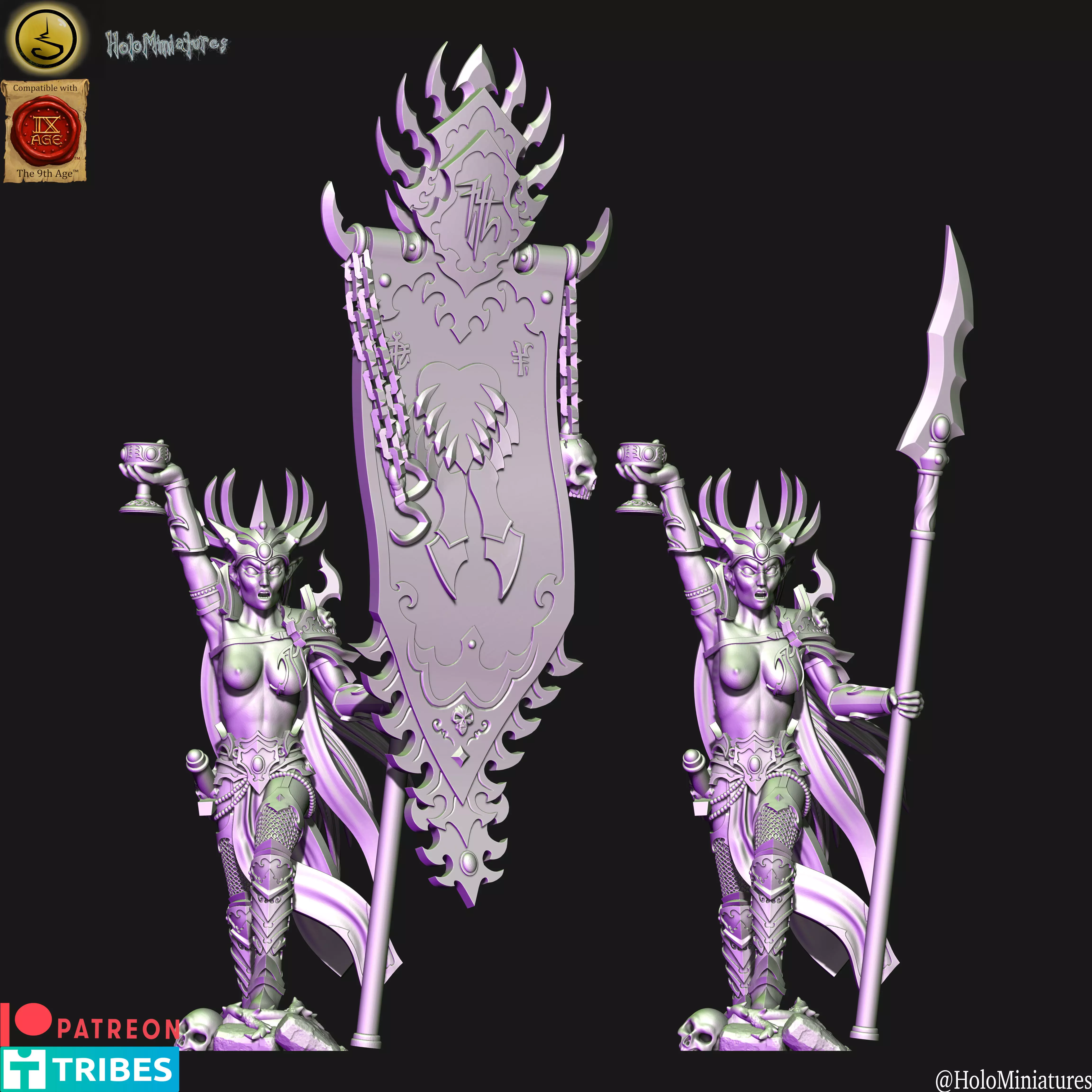 Dark elves Death hag BSB 3D print model_0