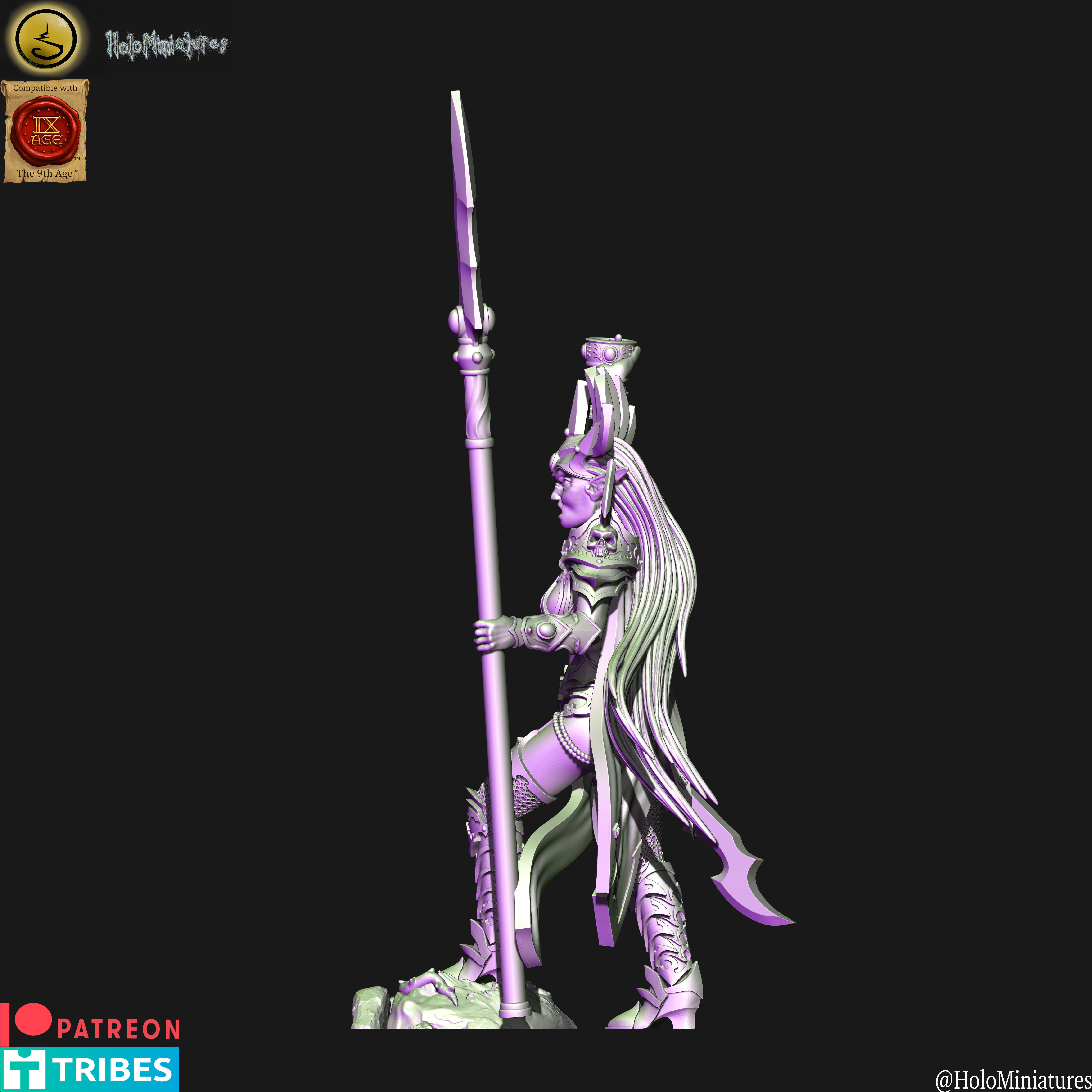 Dark elves Death hag BSB 3D print model_2