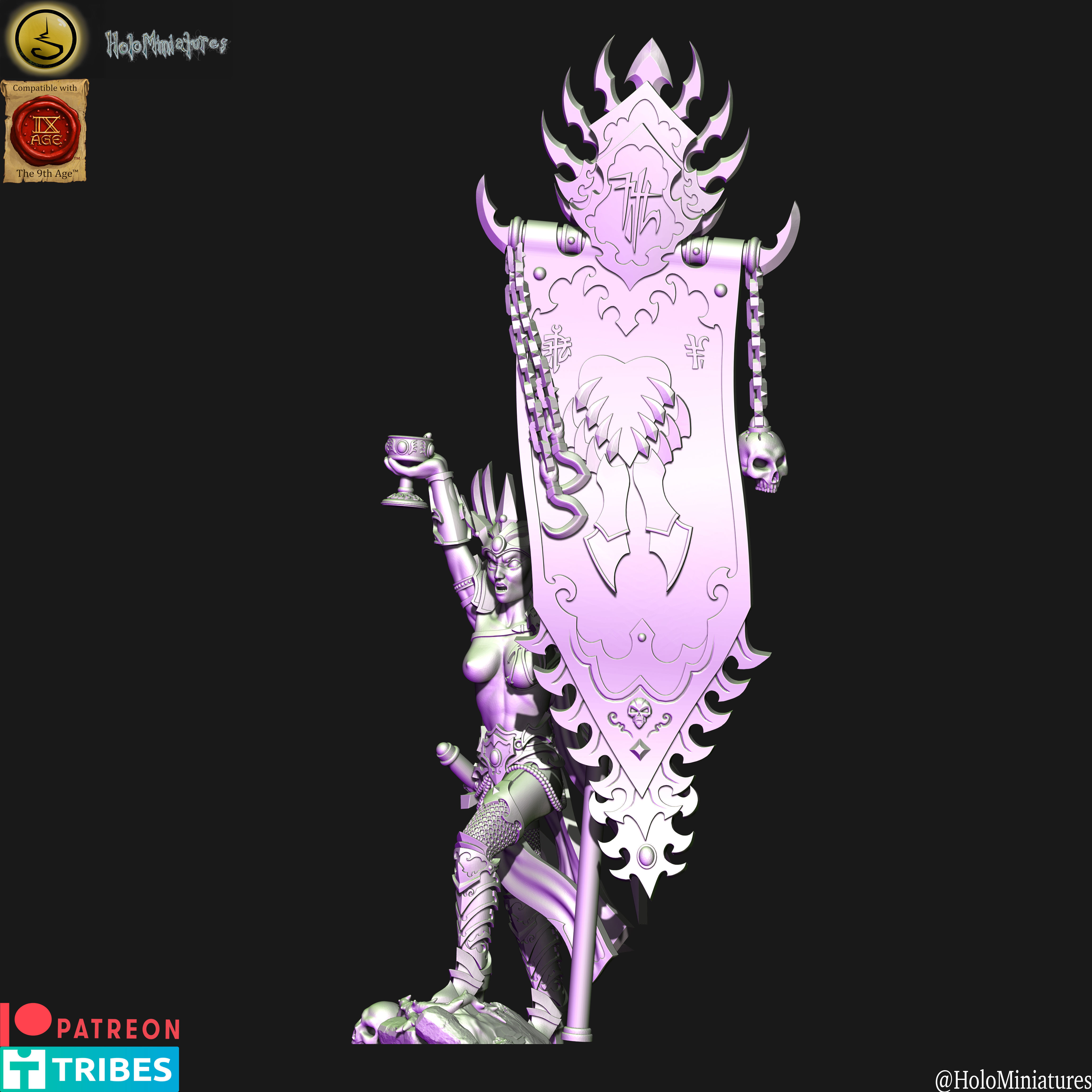 Dark elves Death hag BSB 3D print model_1