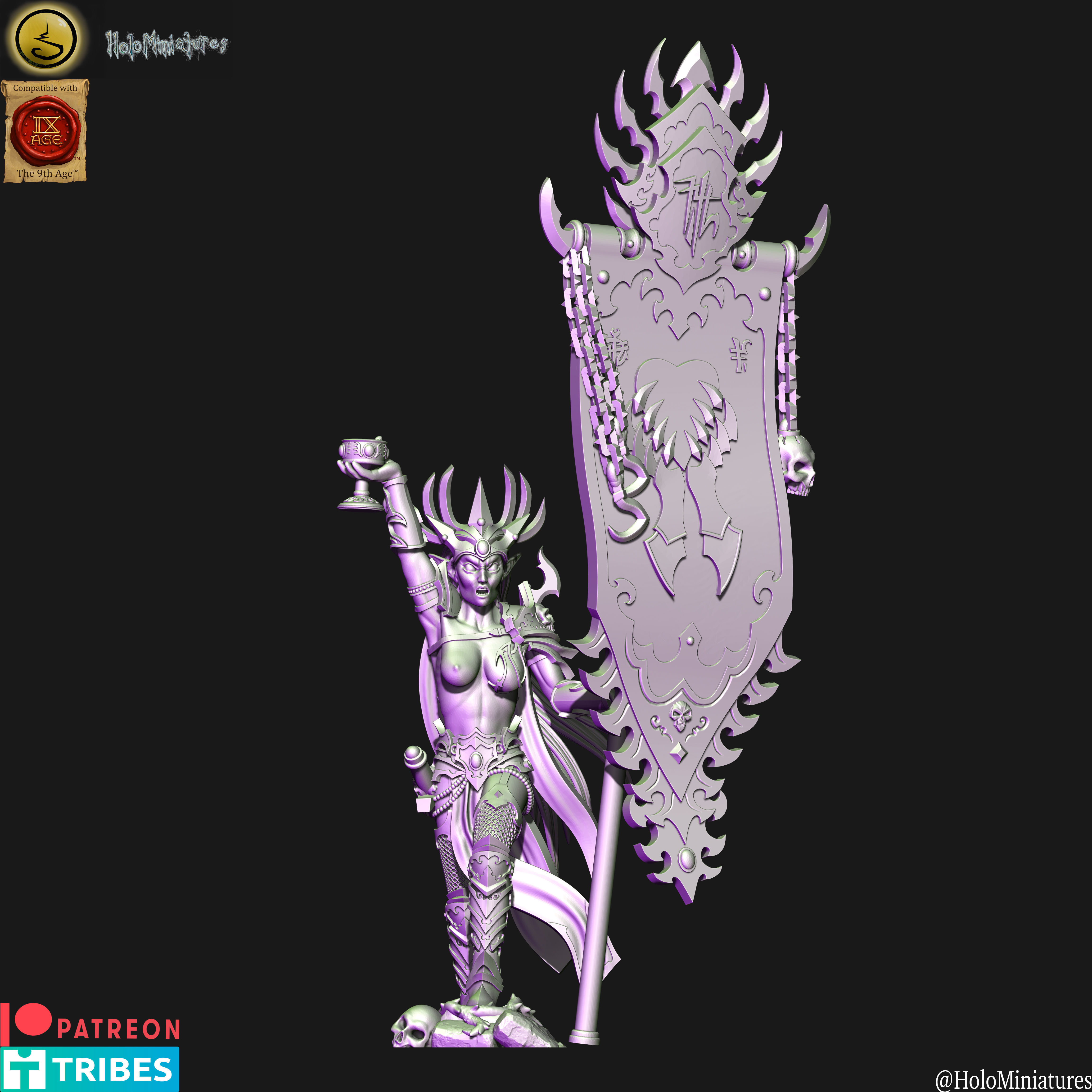 Dark elves Death hag BSB 3D print model_7