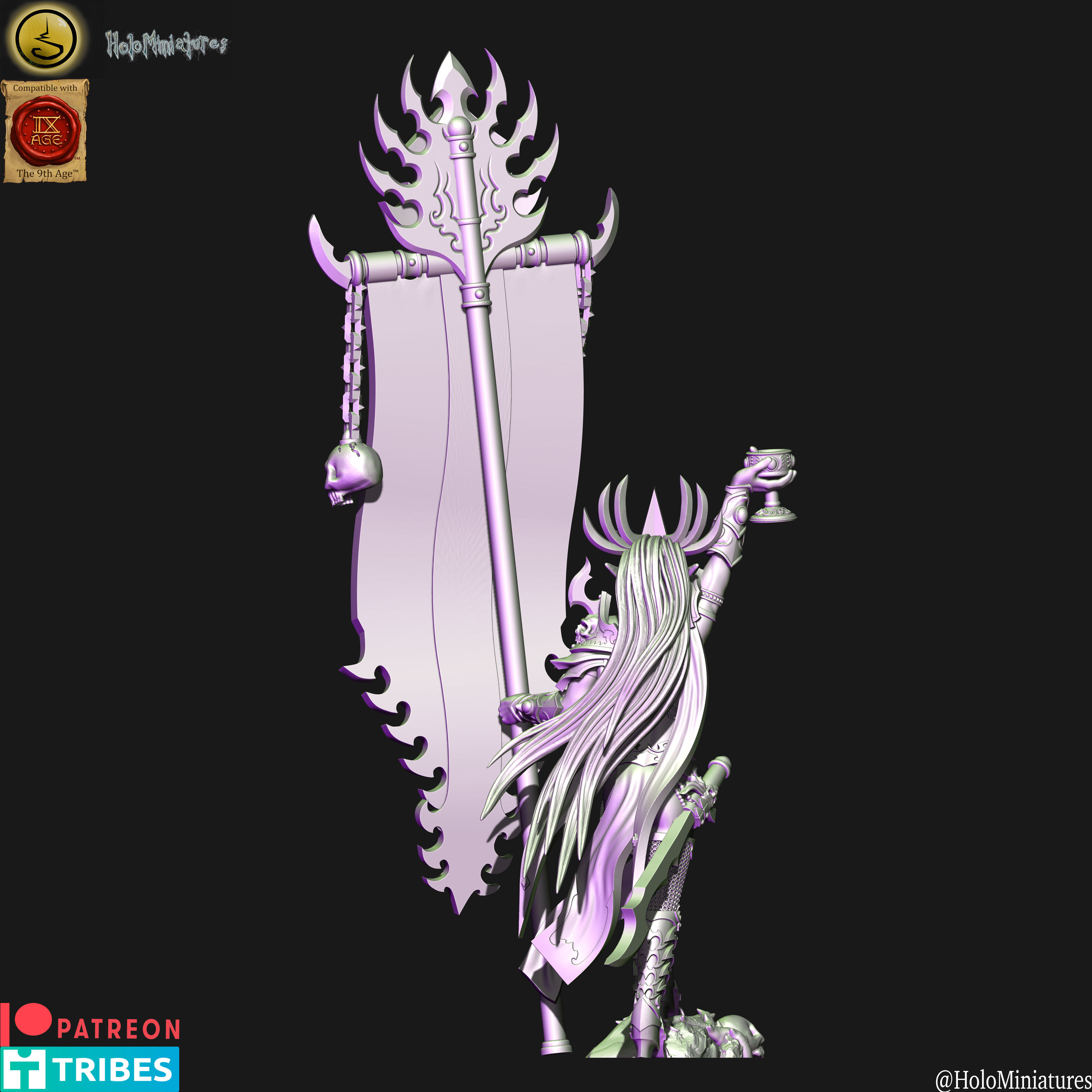 Dark elves Death hag BSB 3D print model_3