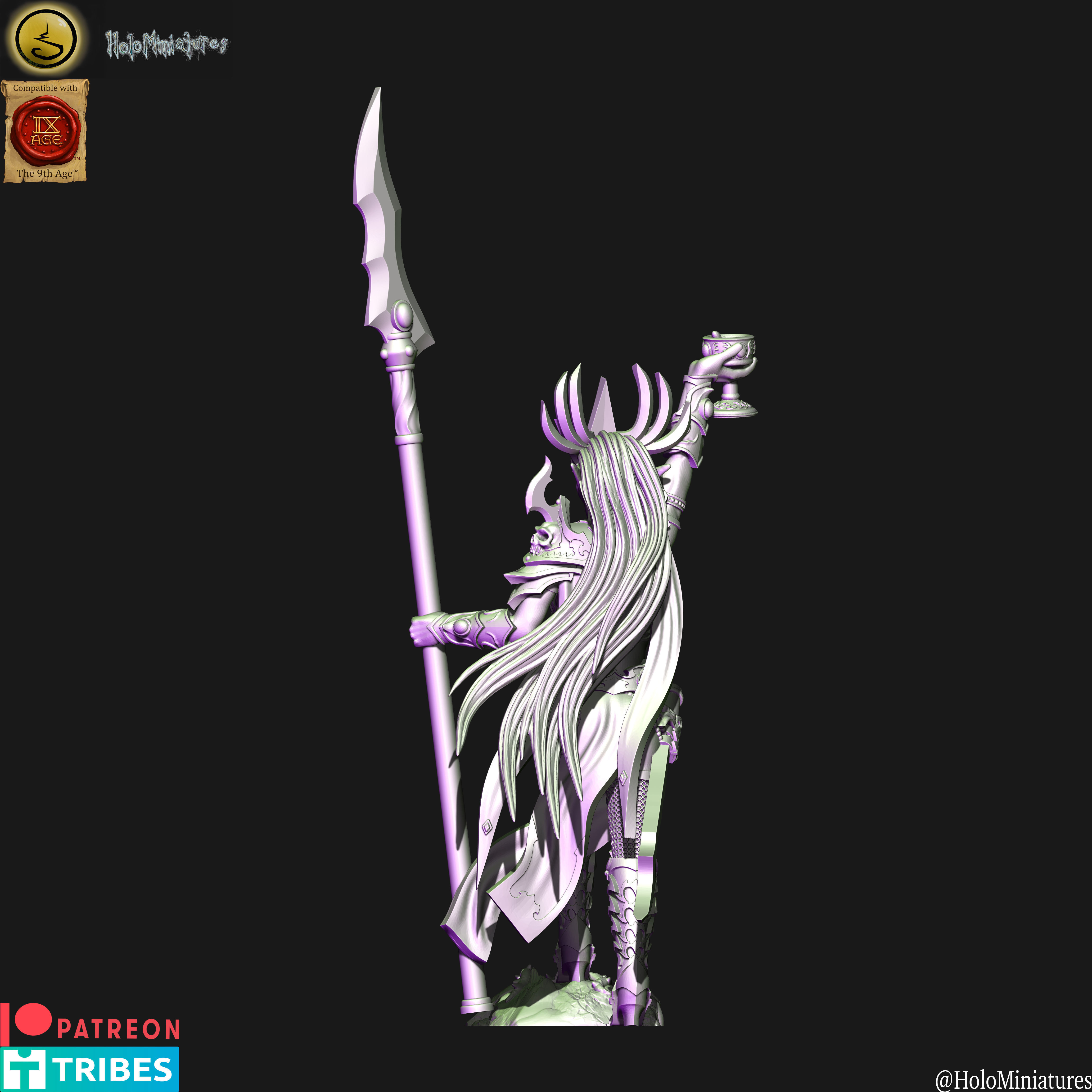 Dark elves Death hag BSB 3D print model_4