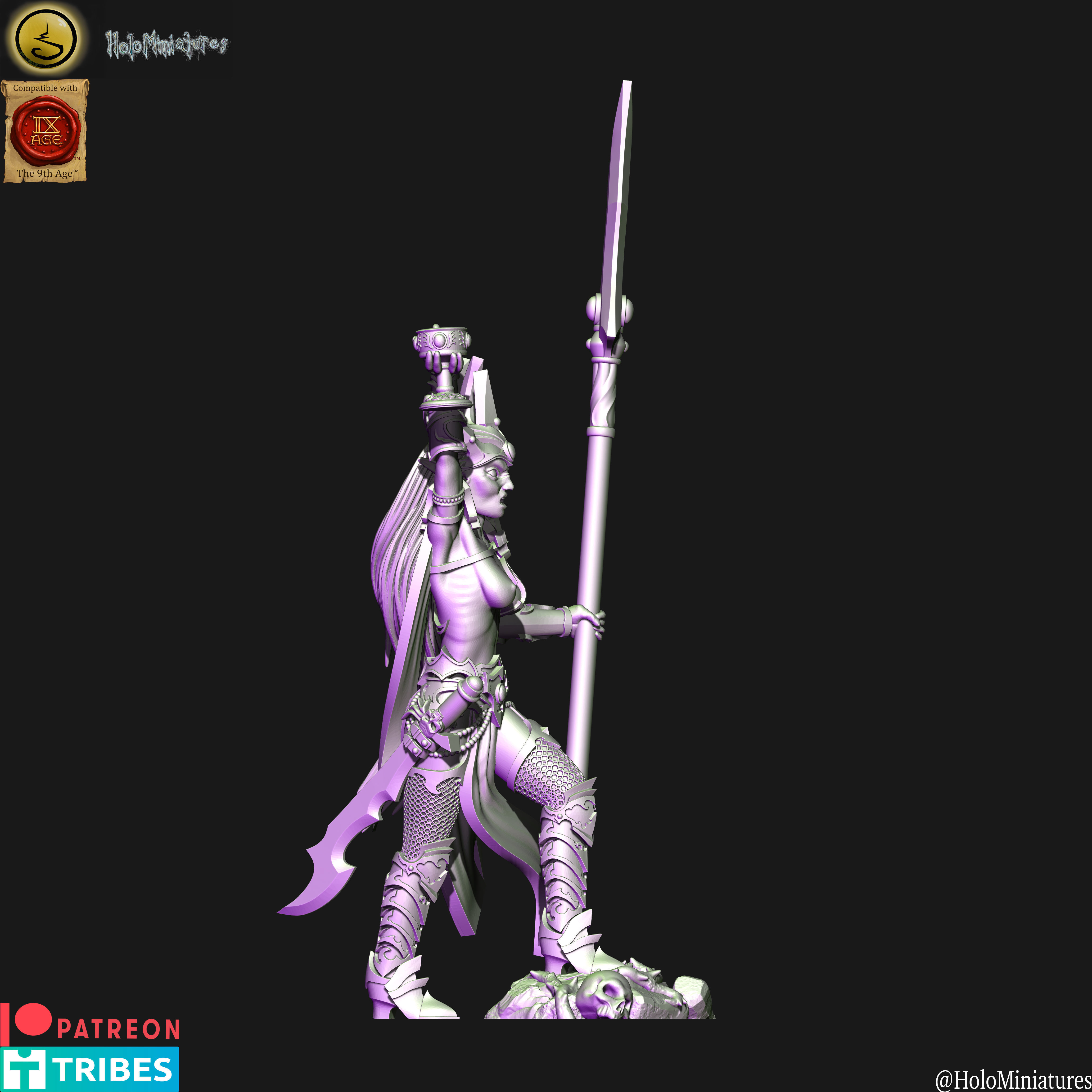 Dark elves Death hag BSB 3D print model_6