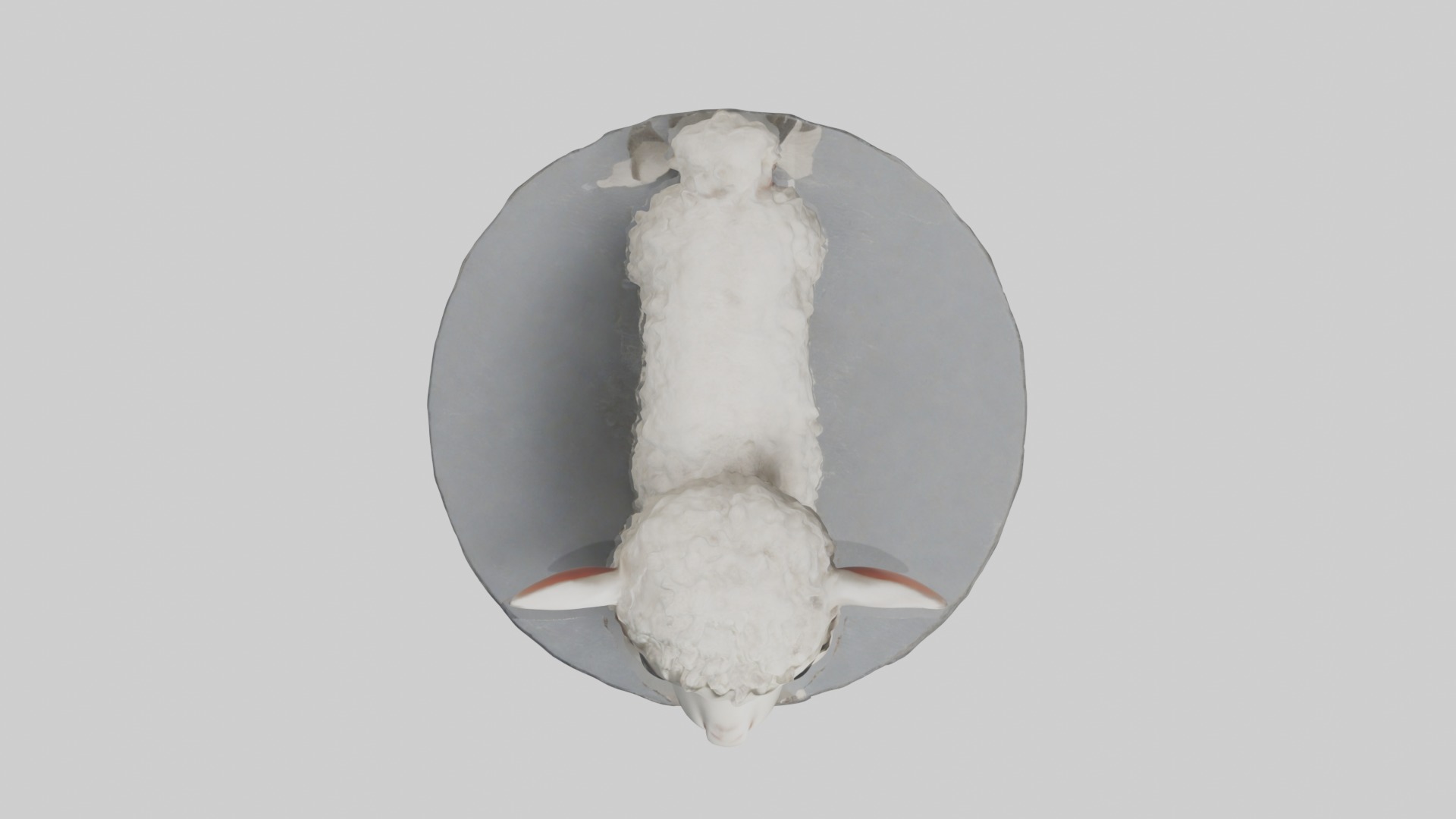 Lamb Model 1 Low-poly 3D model_8