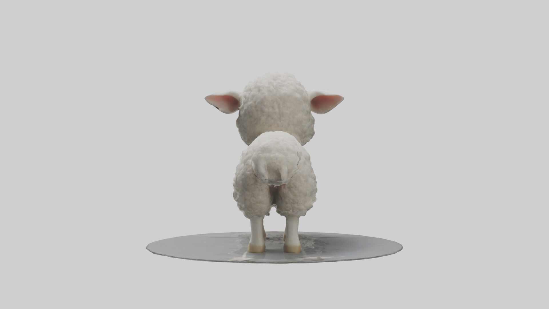 Lamb Model 1 Low-poly 3D model_1