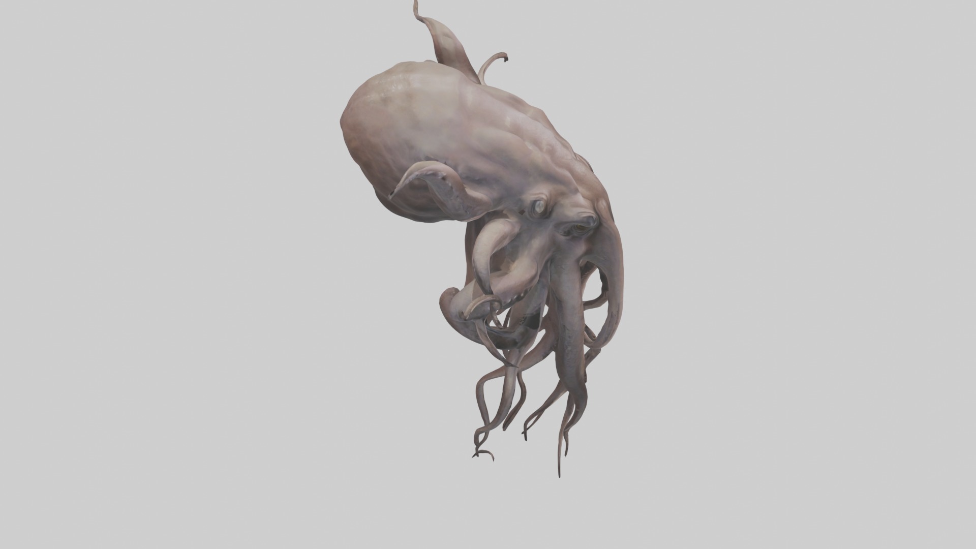 Kraken Model Low-poly 3D model_12