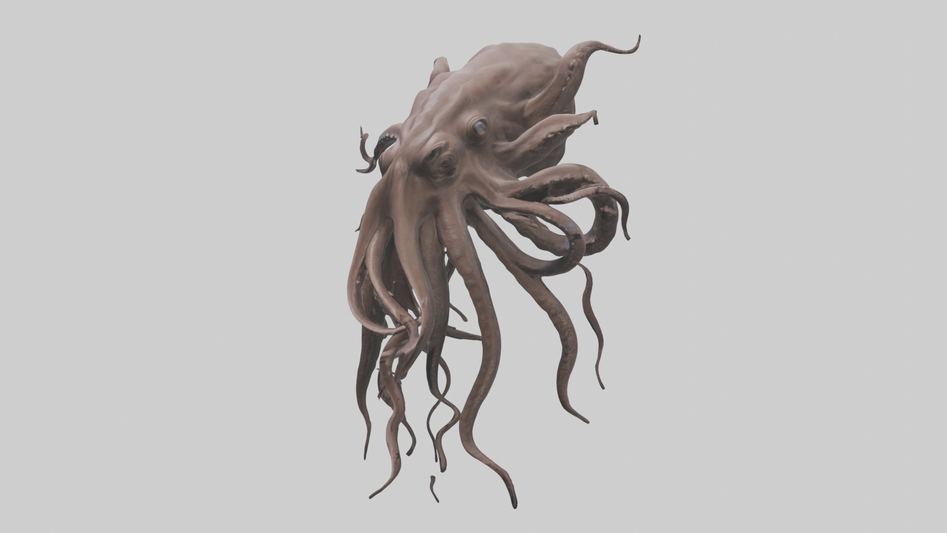 Kraken Model Low-poly 3D model_4