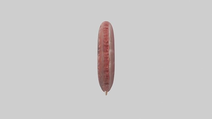 Kidneys Model 1 Low-poly 3D model 7