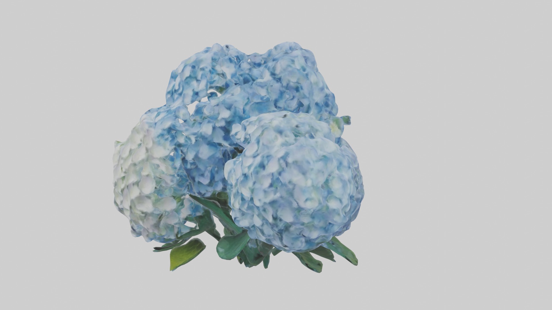 Hydrangea Flowers Mod 1 Low-poly 3D model_4