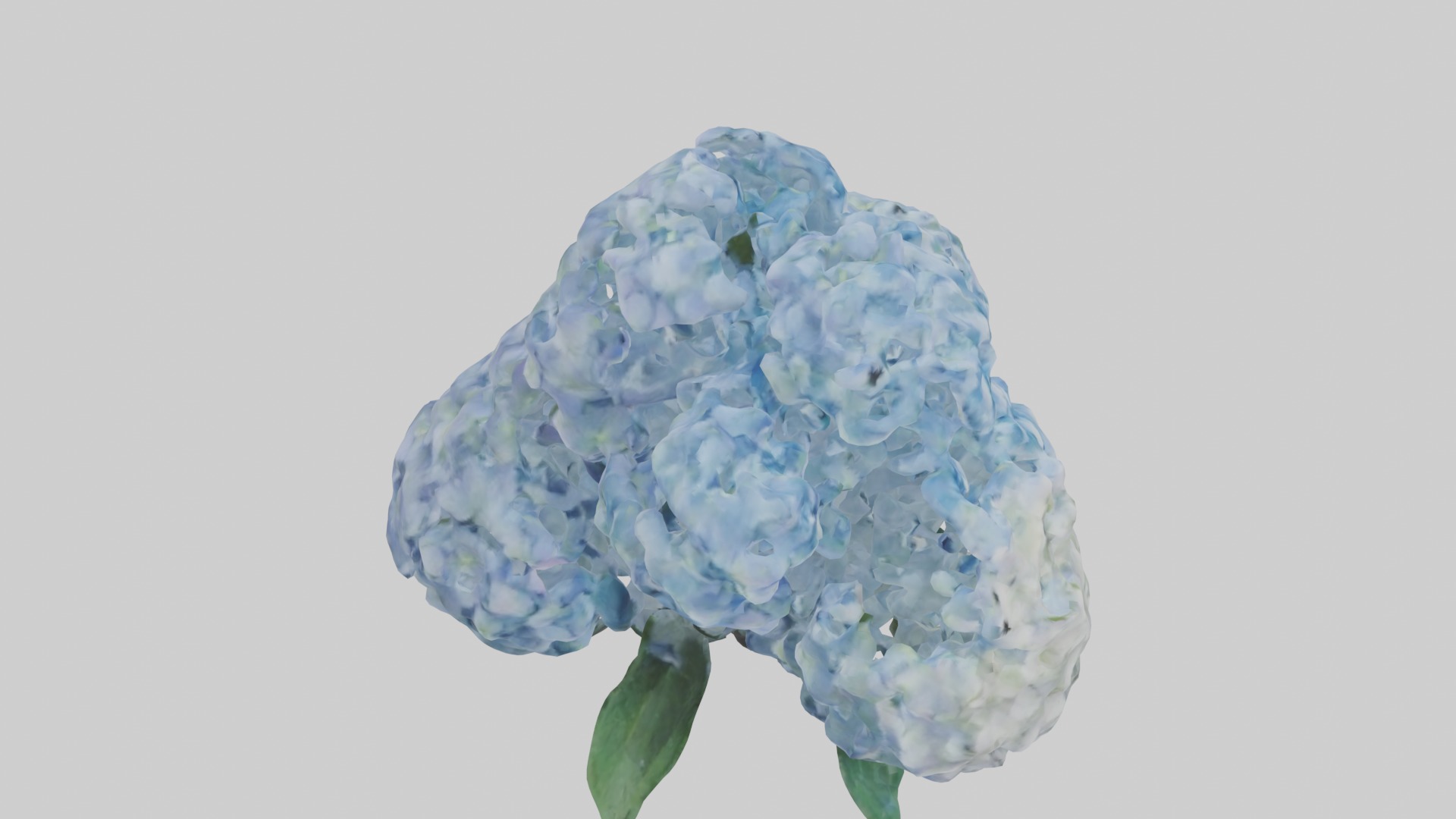 Hydrangea Flowers Mod 1 Low-poly 3D model_12