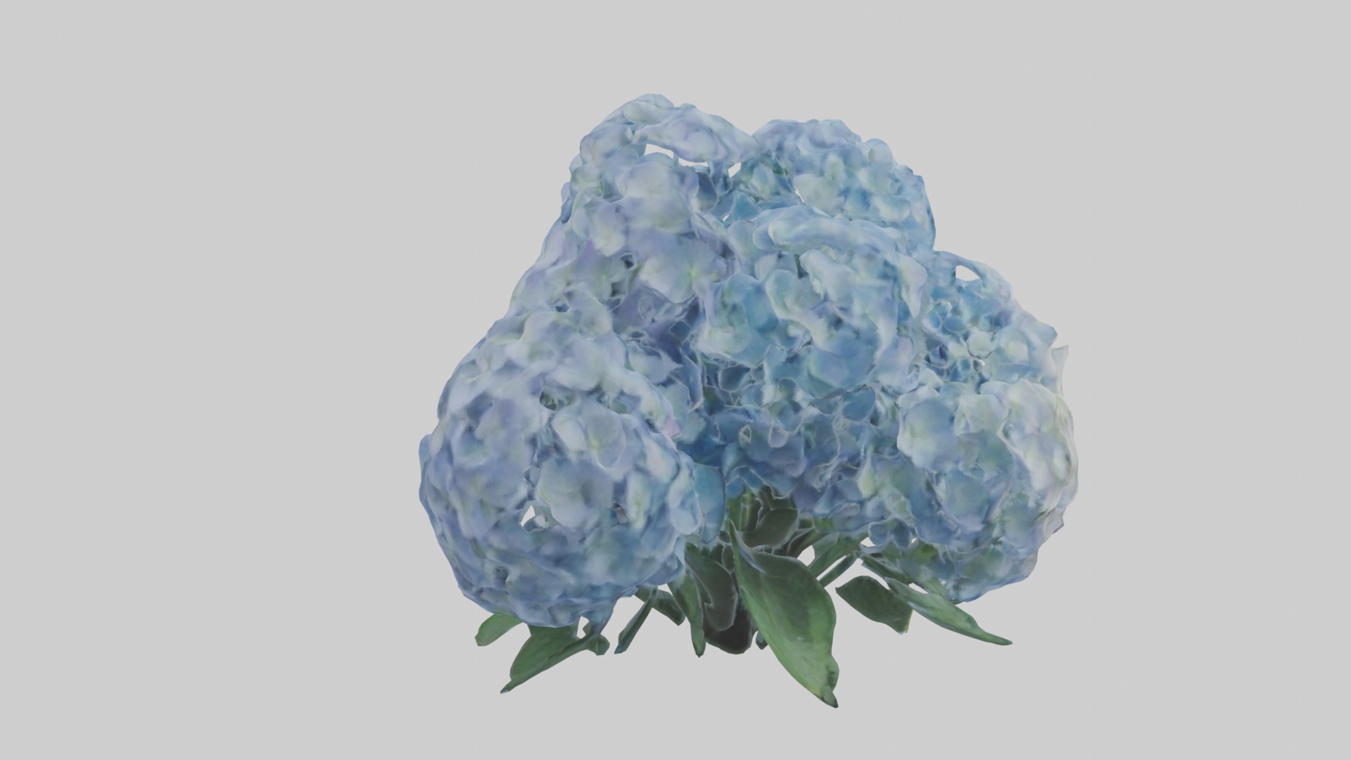 Hydrangea Flowers Mod 1 Low-poly 3D model_2
