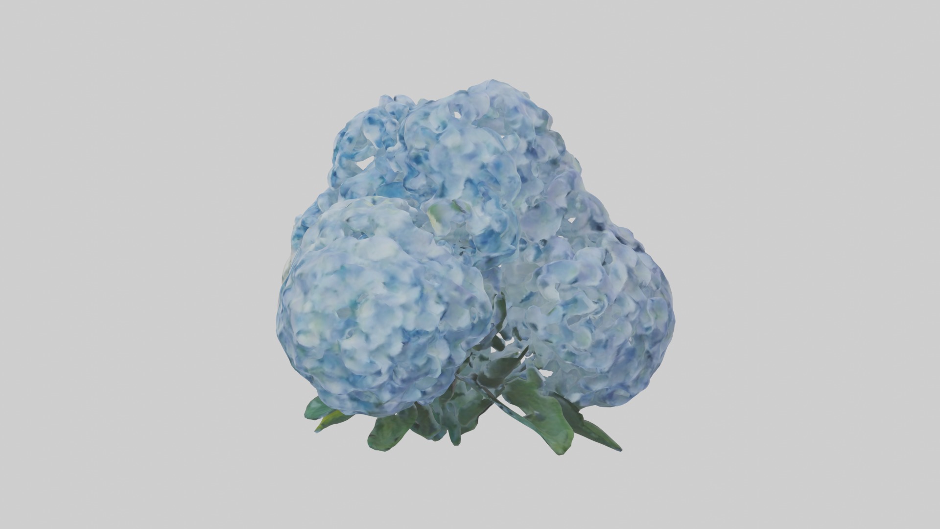 Hydrangea Flowers Mod 1 Low-poly 3D model_6