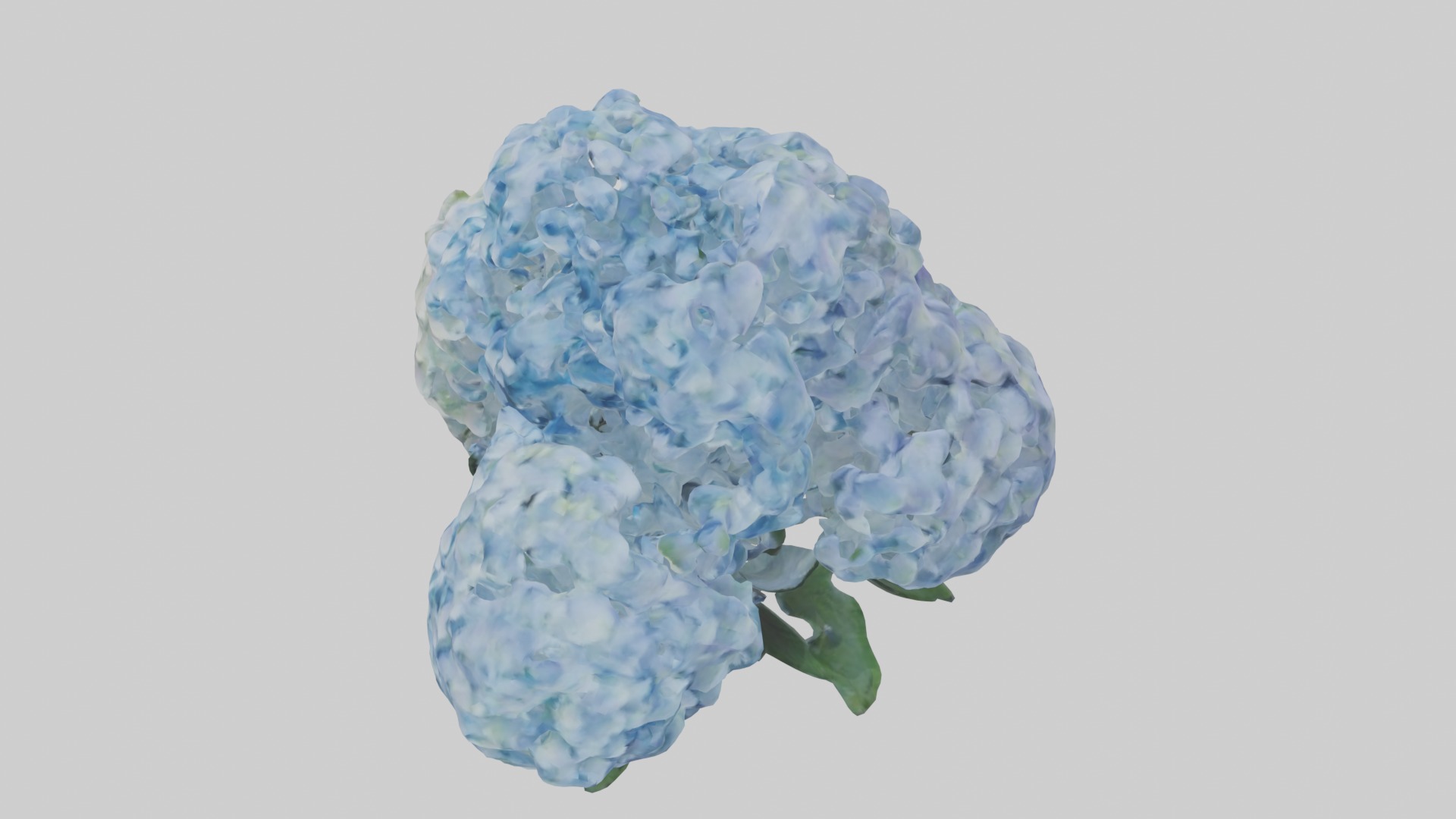 Hydrangea Flowers Mod 1 Low-poly 3D model_11
