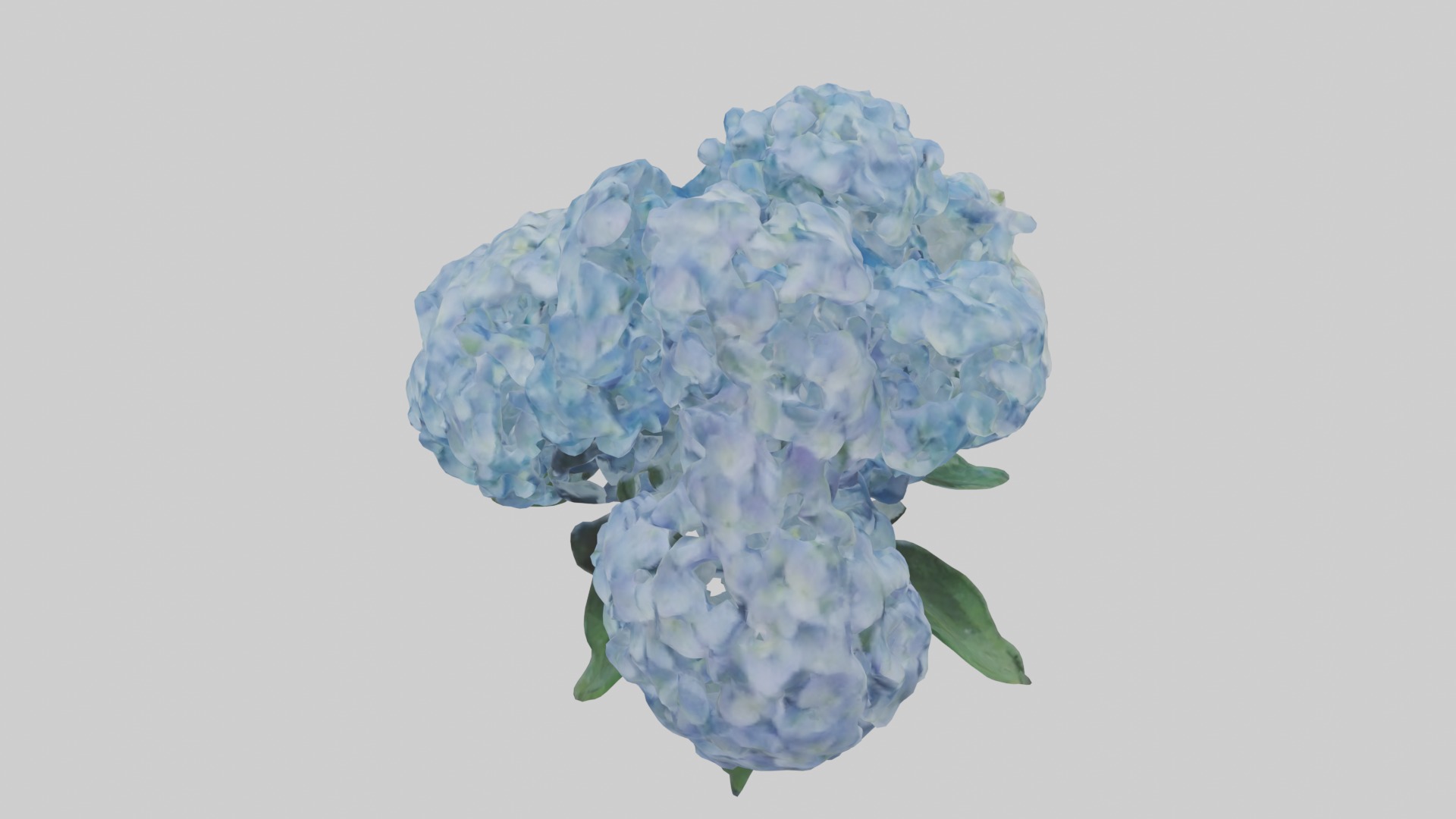 Hydrangea Flowers Mod 1 Low-poly 3D model_9