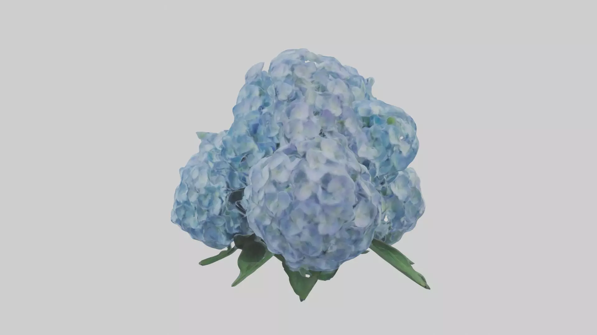 Hydrangea Flowers Mod 1 Low-poly 3D model_0