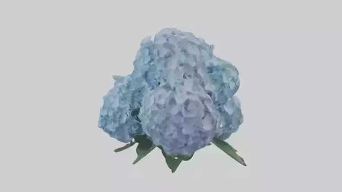 Hydrangea Flowers Mod 1